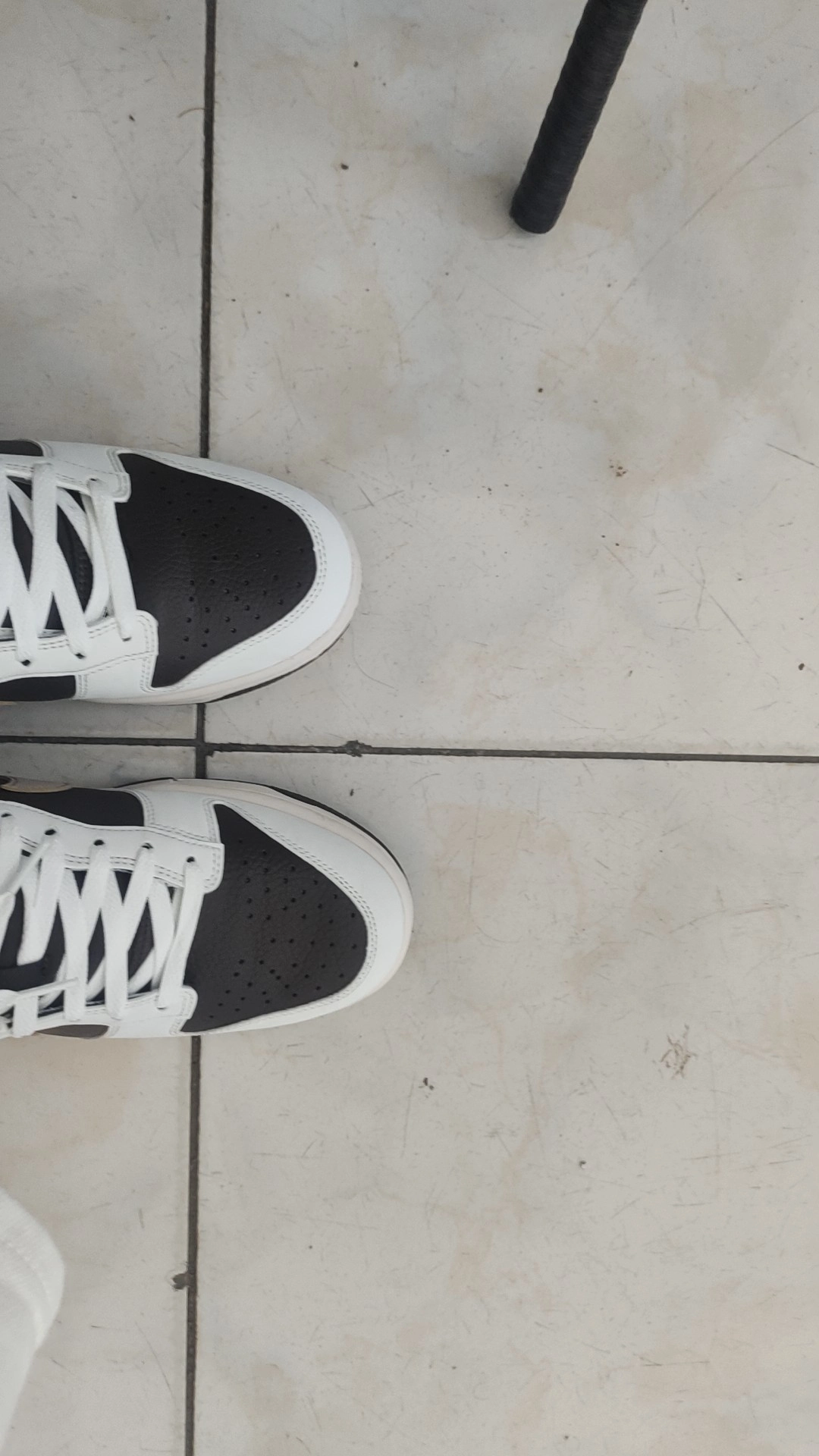 custom review-Nike Dunk Low Next Nature 'Summit White Baroque Brown'