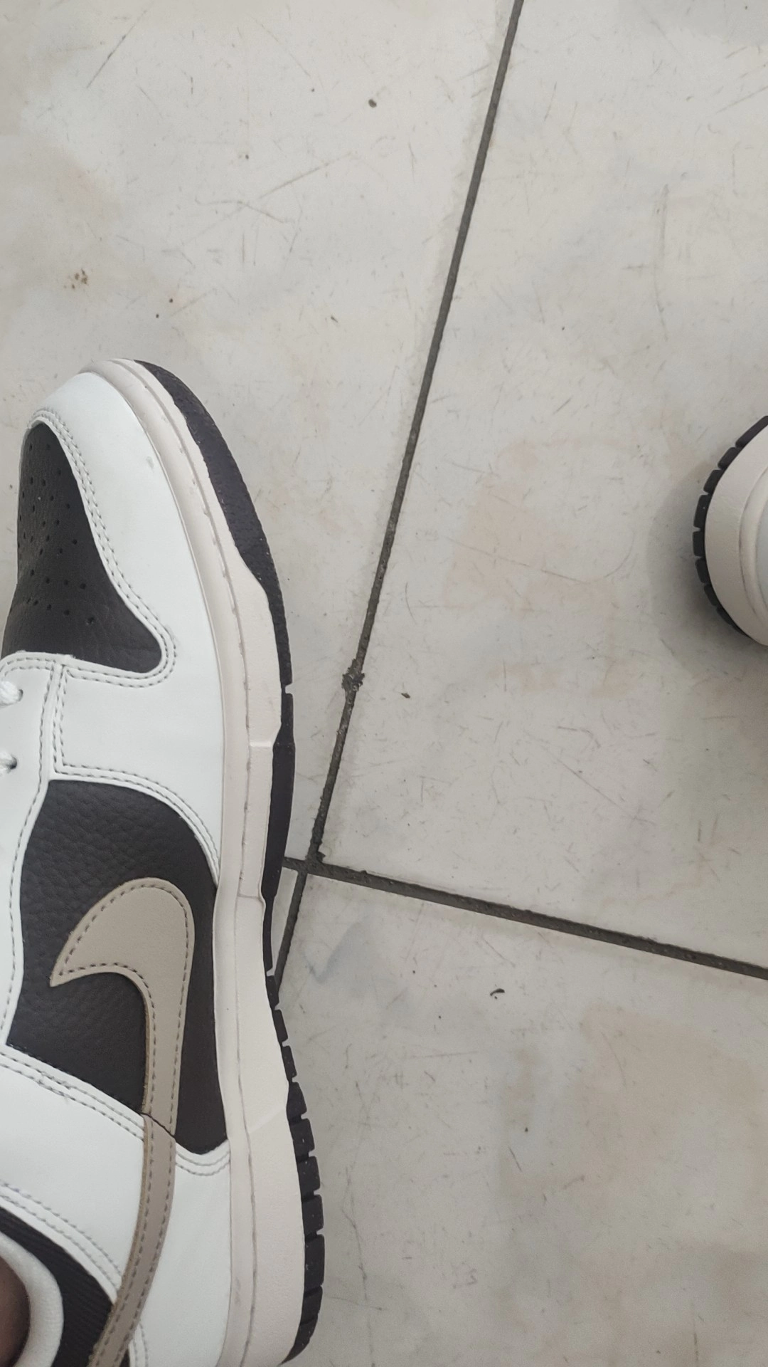 custom review-Nike Dunk Low Next Nature 'Summit White Baroque Brown'