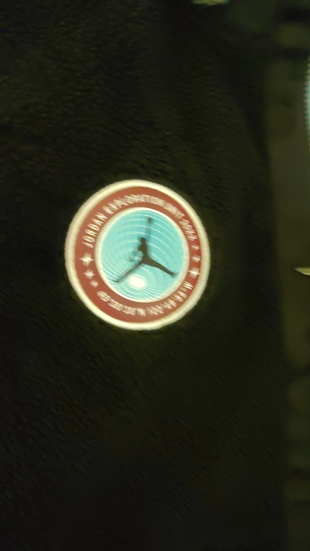 custom review-Jordan DNA Свитшот Мужской Черный