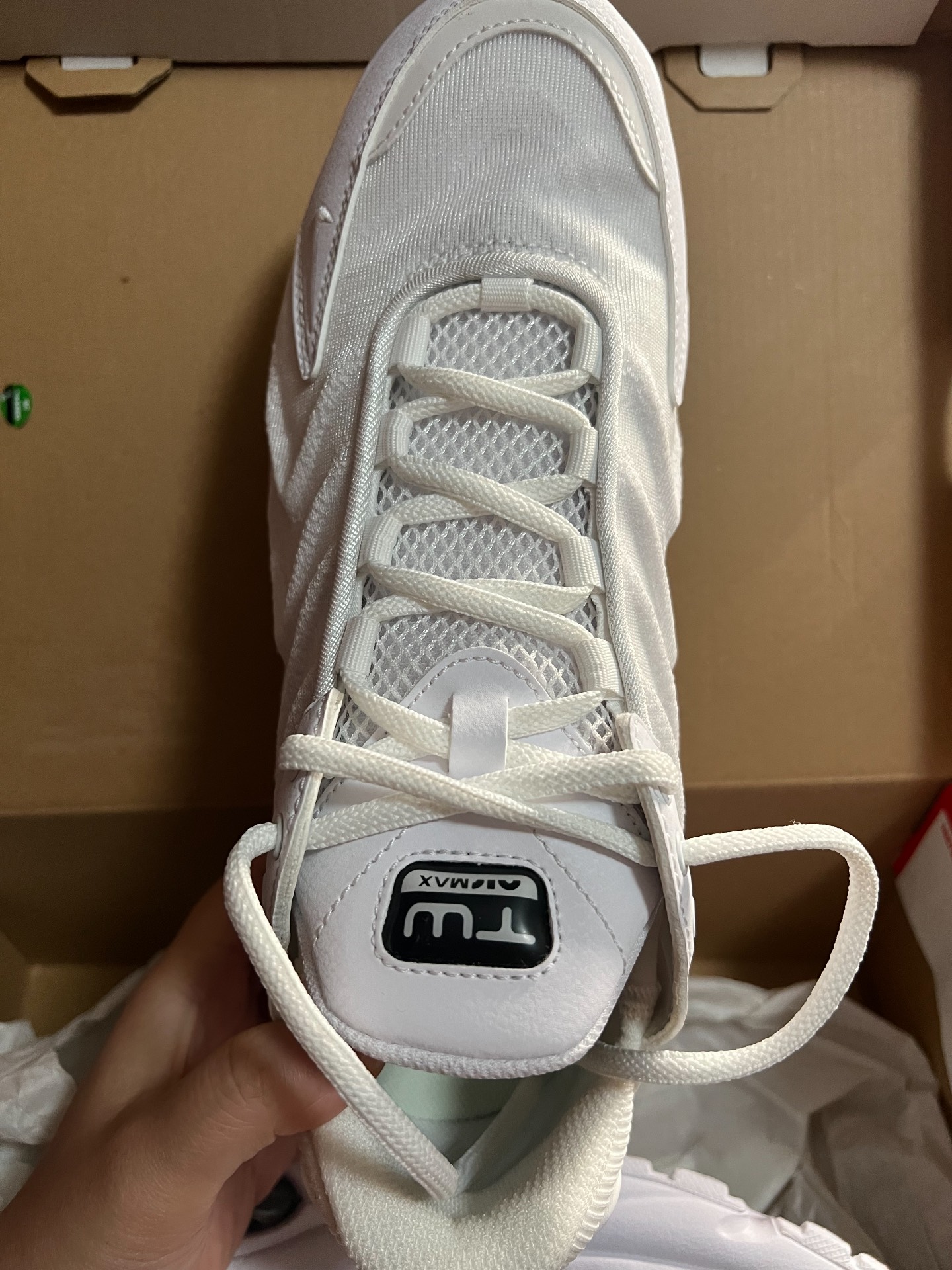 custom review-Nike Air Max TW 'Triple White' Низкий Топ Casual Мужской Белый