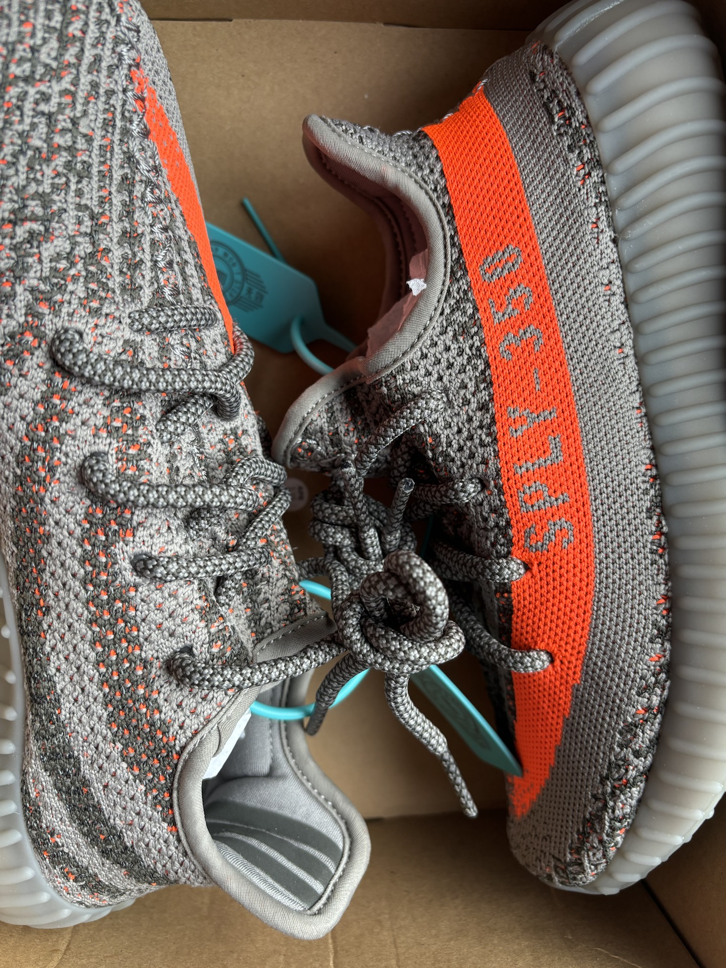 椰子350灰橙满天星,值得入手!