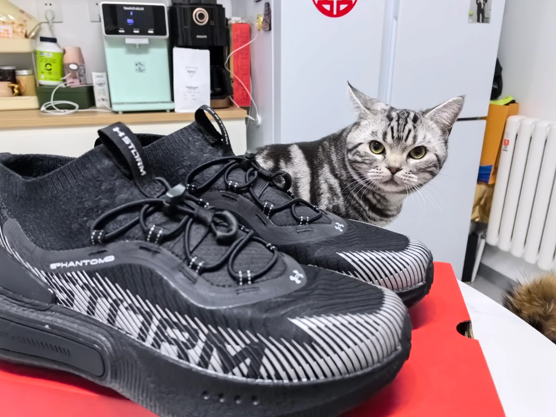 custom review-Under Armour Низкий Топ Повседневная Обувь Унисекс Черный