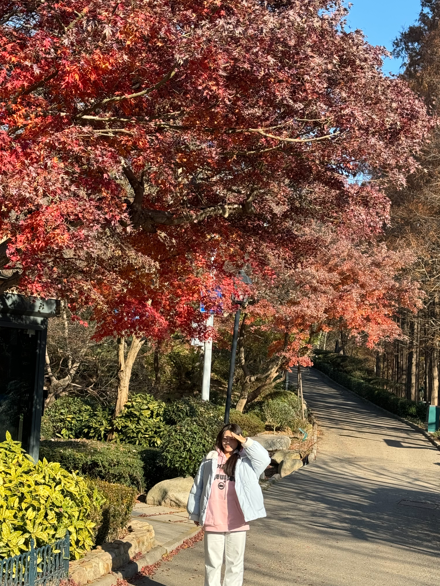 custom review-NICEBAD Свитшот Весенний Осенний SEASON Унисекс