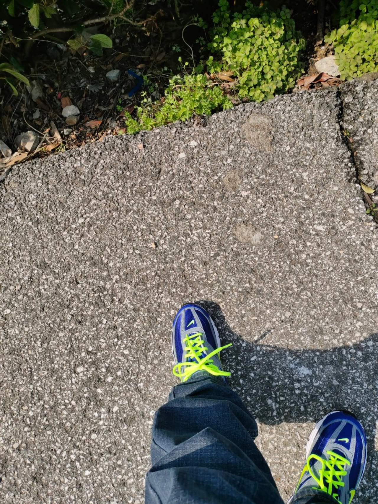 custom review-Nike Initiator Амортизация Устойчивый к истиранию Дышащий Низкий Топ Повседневный Городской Коммутирование Беговые кроссовки Мужской Синий Зеленый