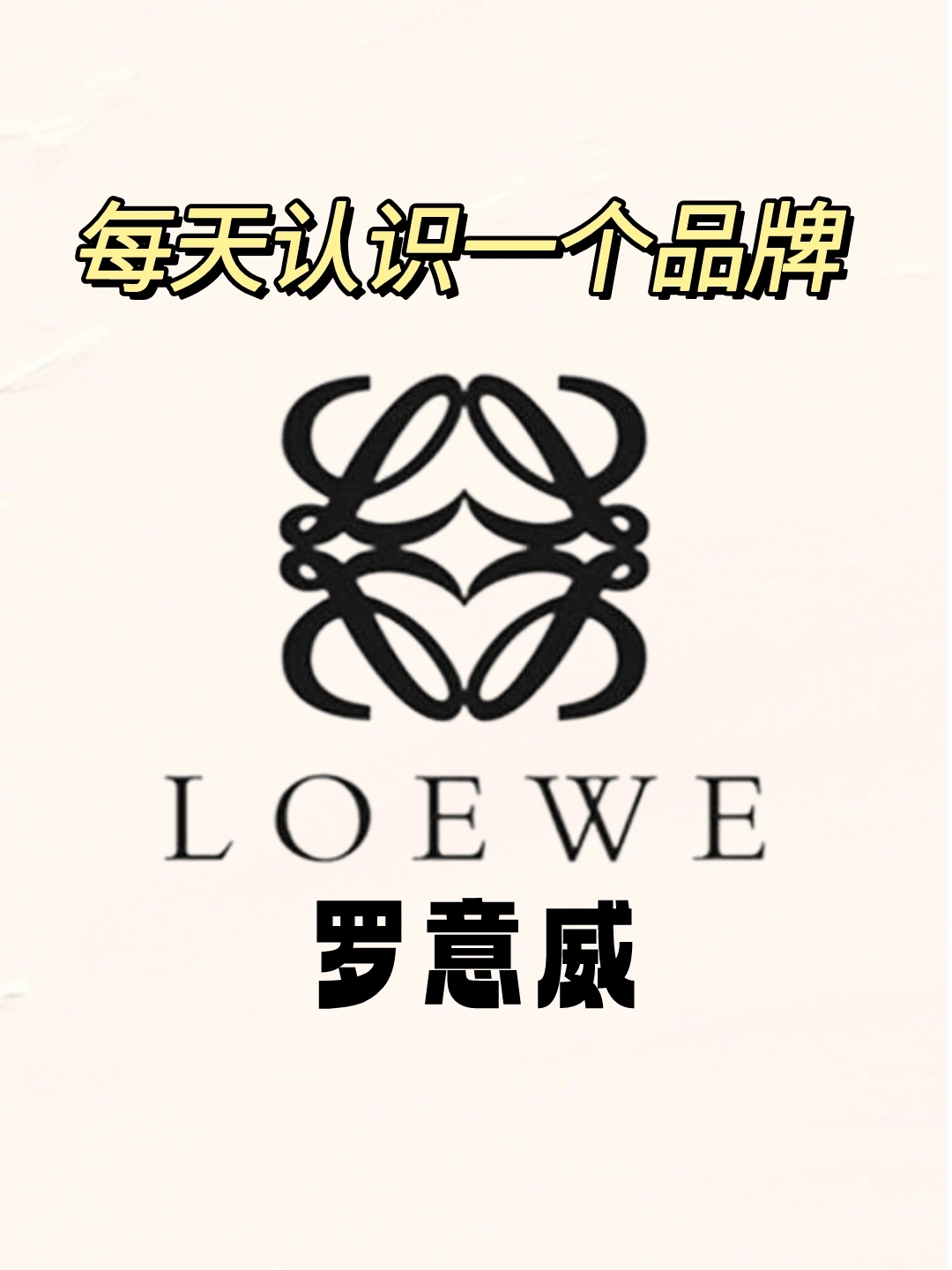loewe罗意威 flamenco purse 褶皱设计可拆卸甜