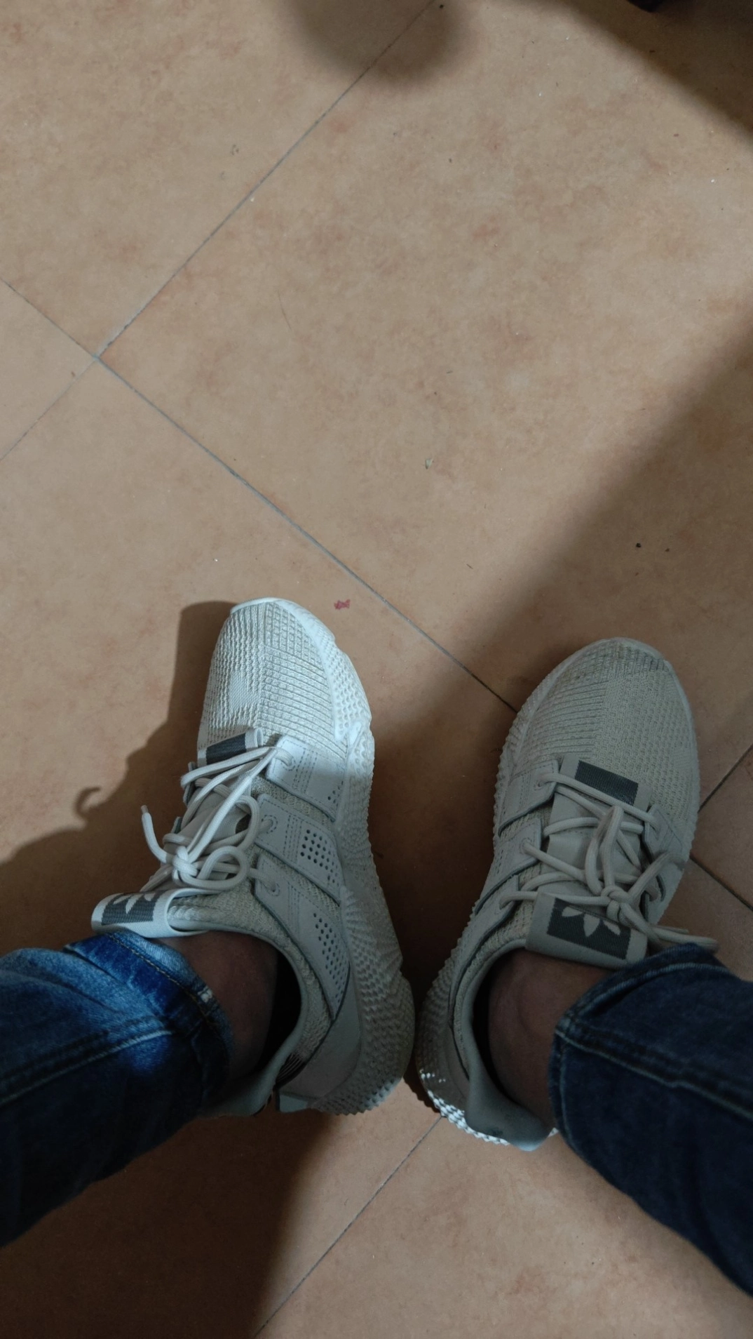 custom review-Adidas Originals PROPHERE Амортизаторы Shock Slip-resistant Abrasion-resistant Низкий топ Повседневная обувь Унисекс Коричневый