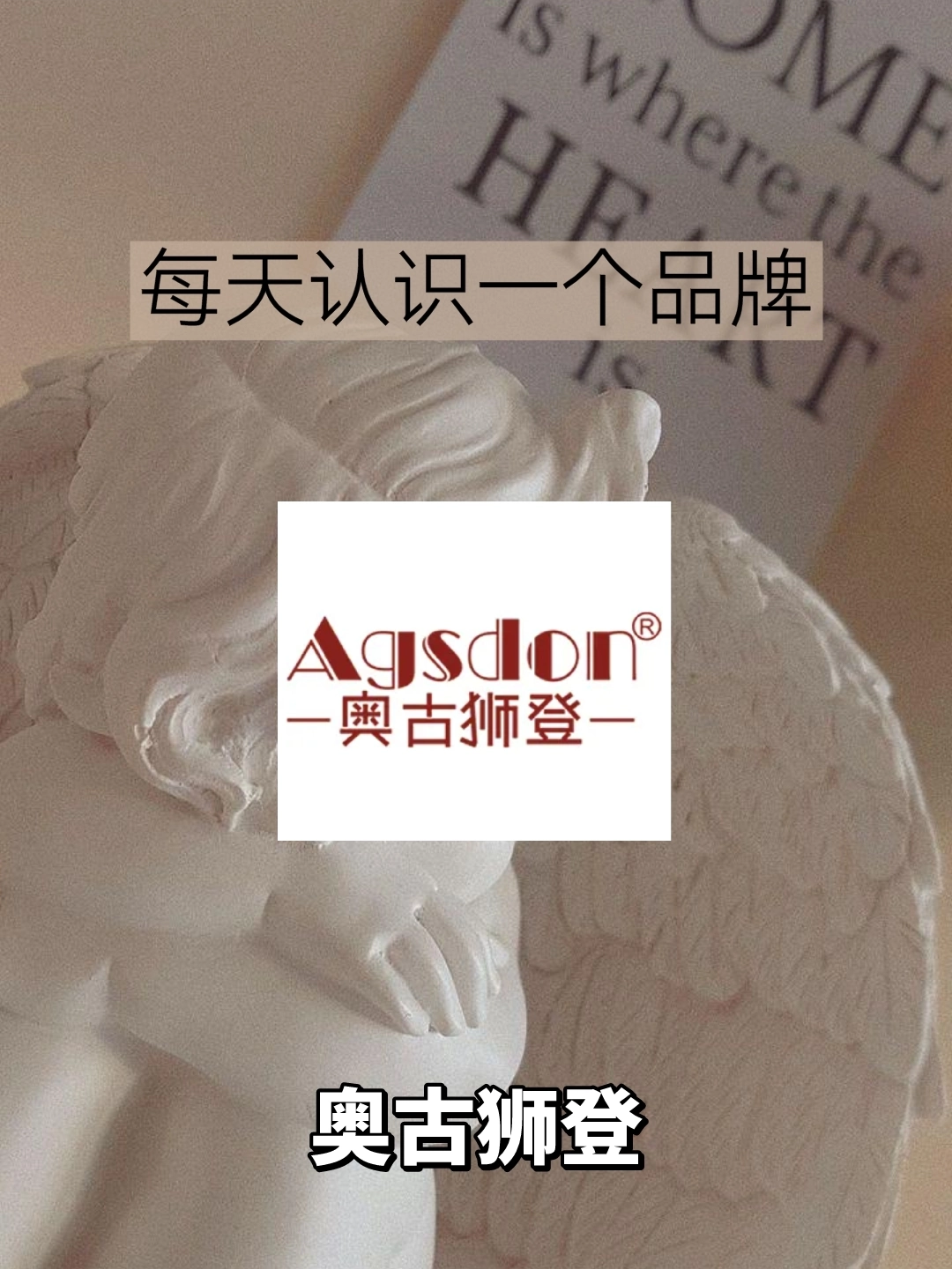 每天认识一个品牌|奥古狮登