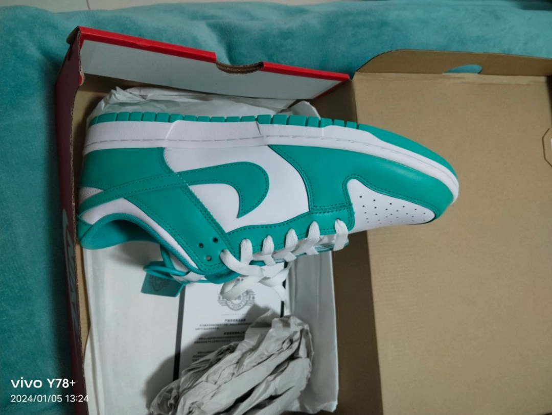 custom review-Nike Dunk 'Прозрачный Нефритовый' Низкие Кроссовки для скейтбординга Мужские Белые Зеленые