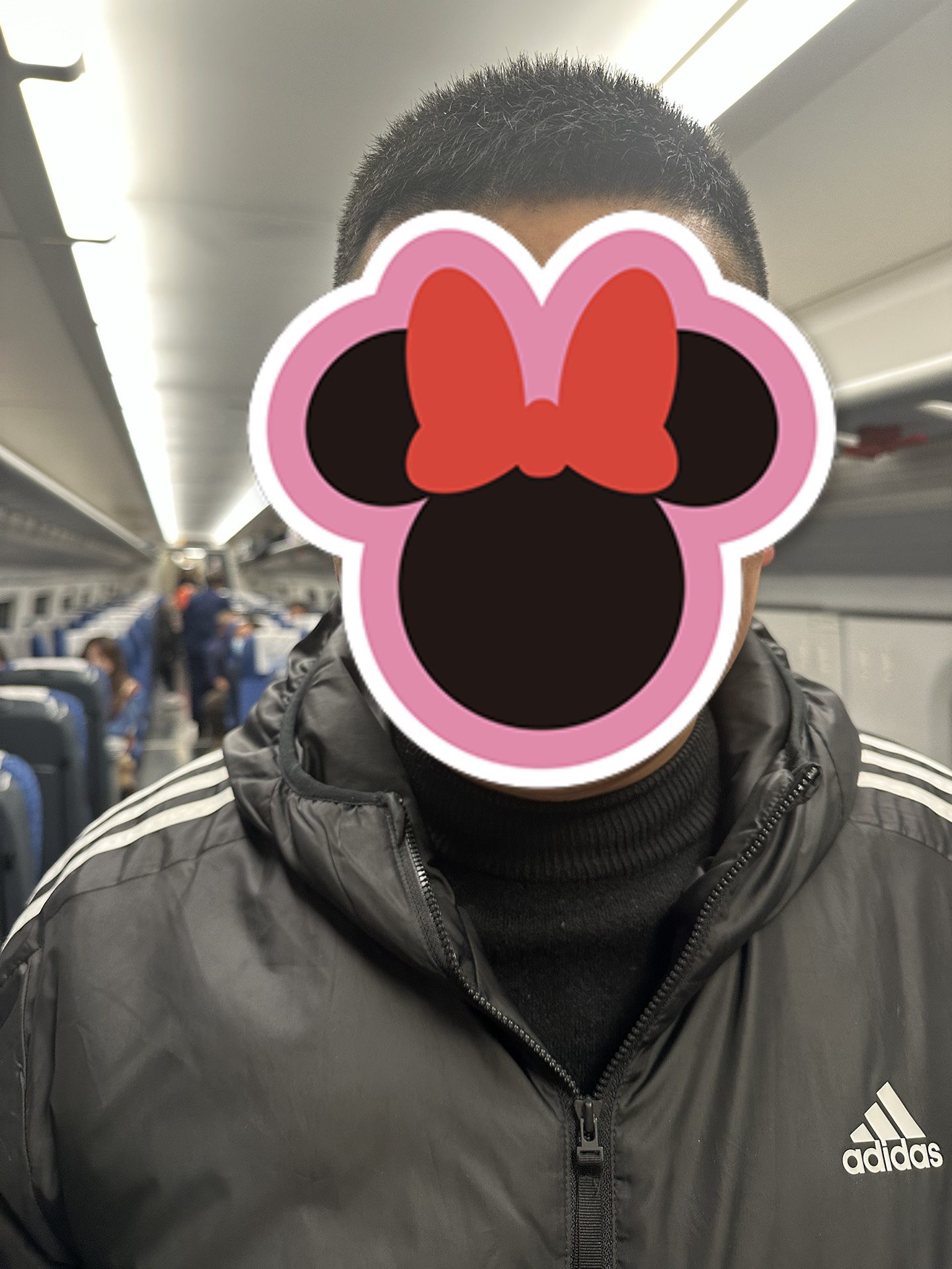 custom review-Adidas Essentials Пуховик Зимний Мужской Черный