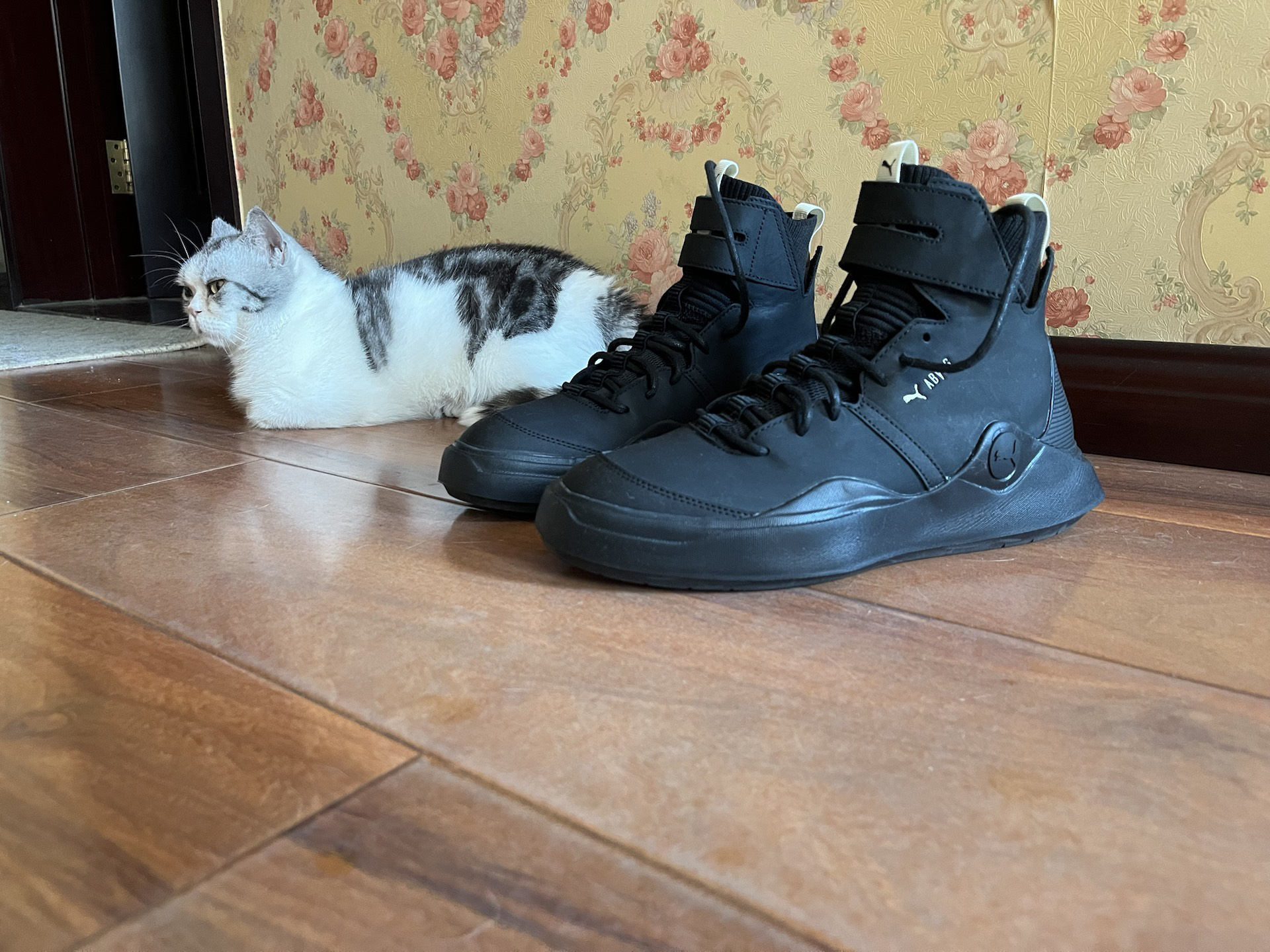 Фото из отзыва