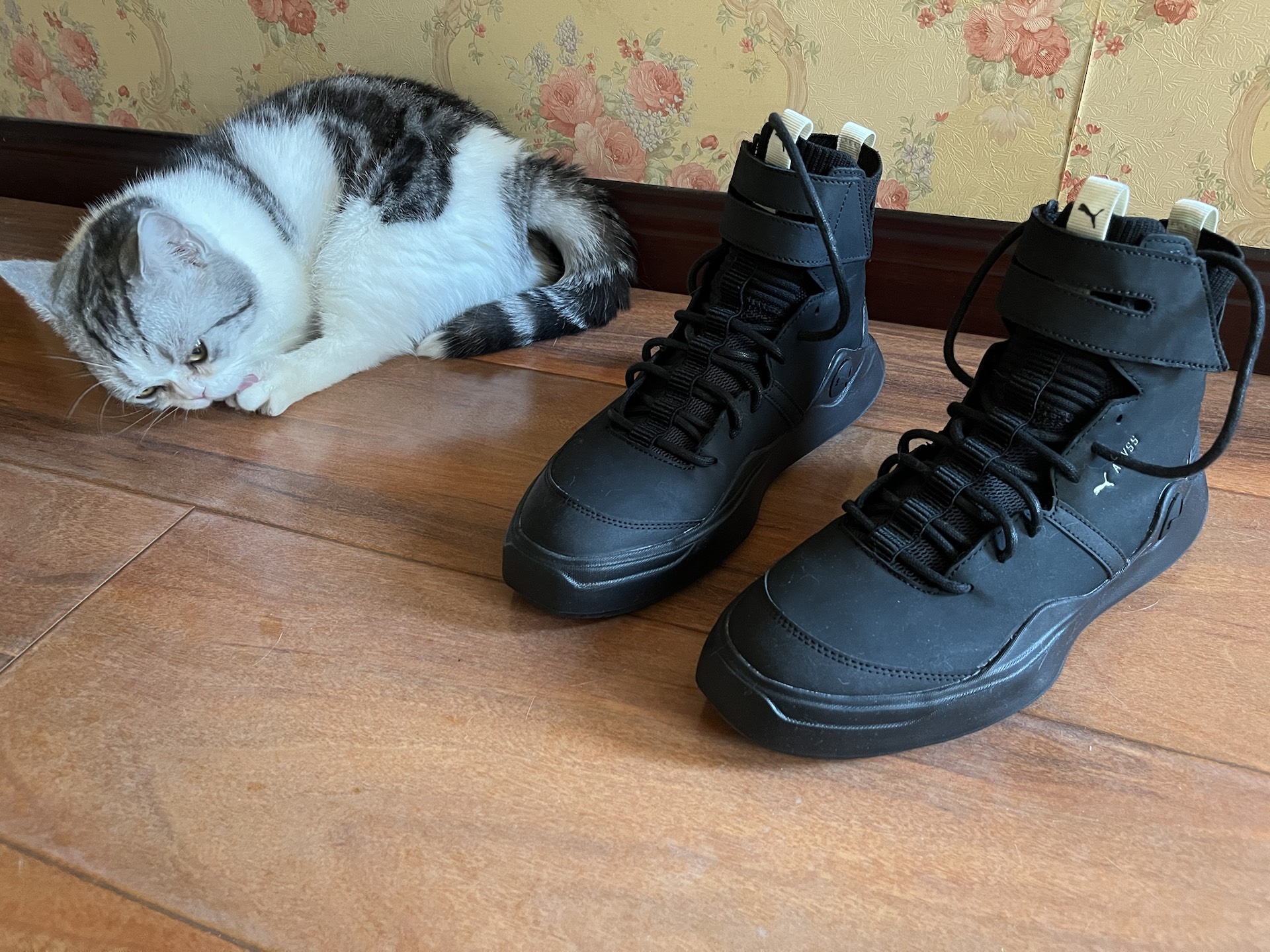 Фото из отзыва