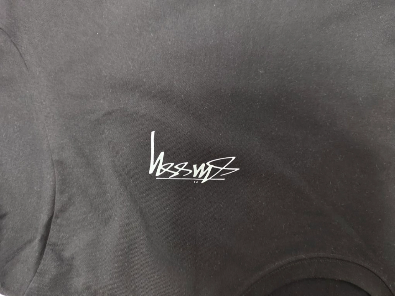 stussy斯图西  stussy  arachnid tee pigment dyed 蜘蛛图案圆领