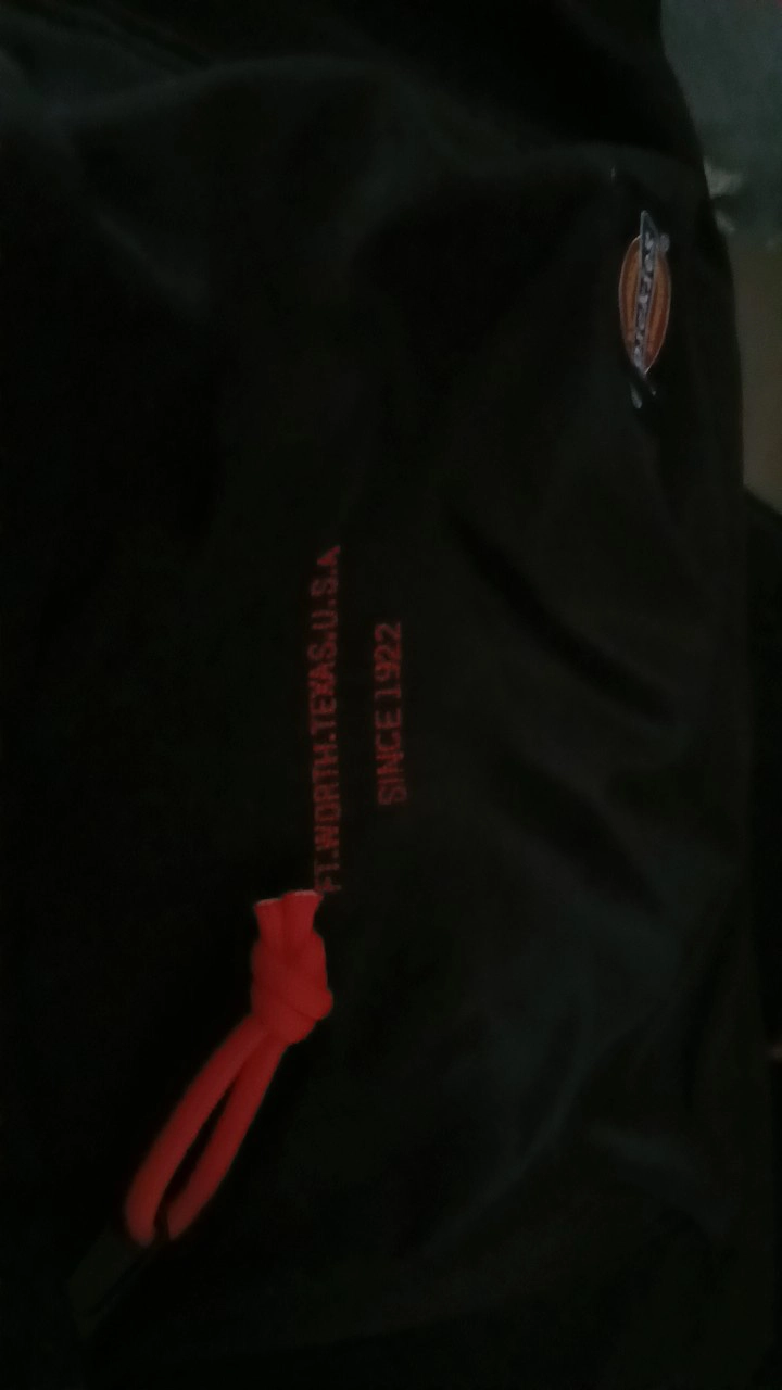 custom review-Dickies Рюкзаки Унисекс