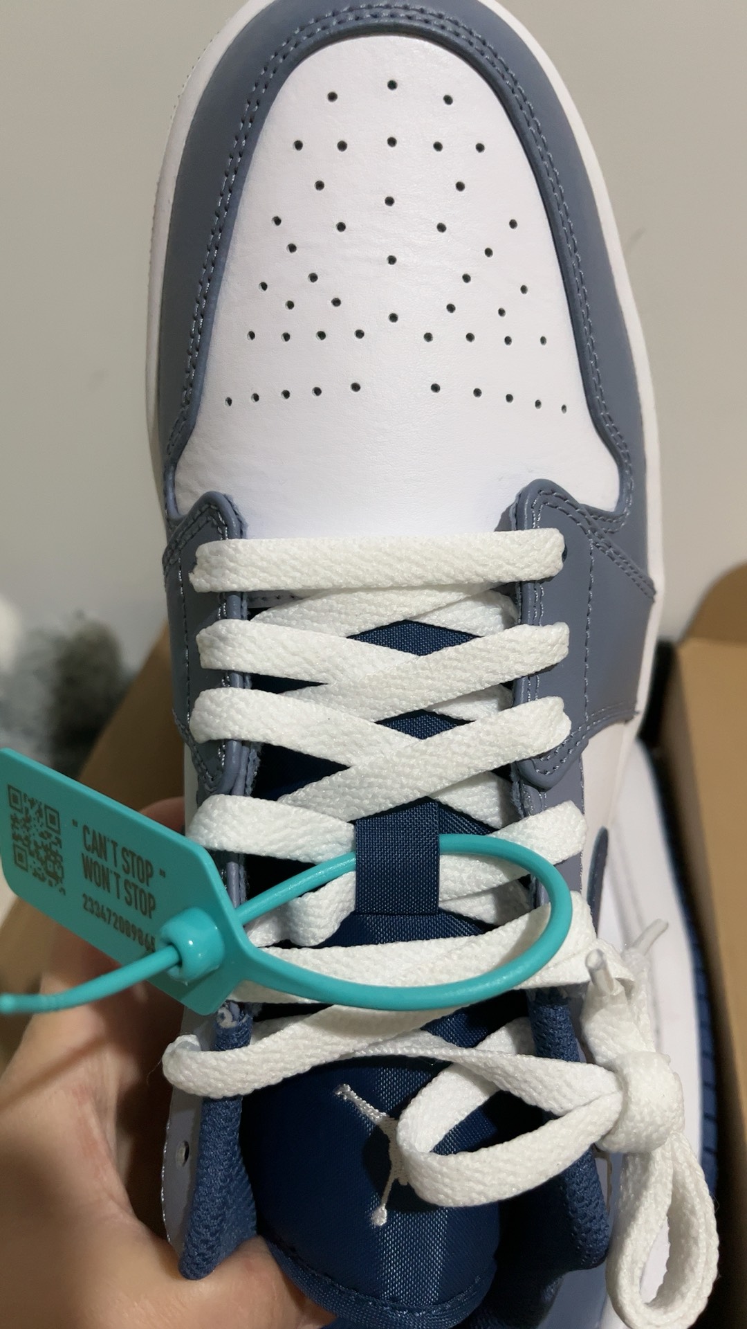 custom review-Jordan 1 Low Ashen Slate Men's