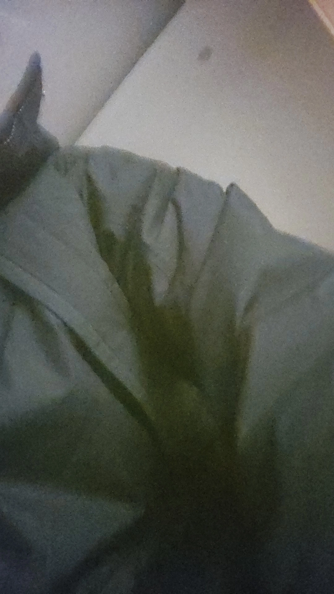 custom review-Adidas Пуховик Зимний Мужской Черный