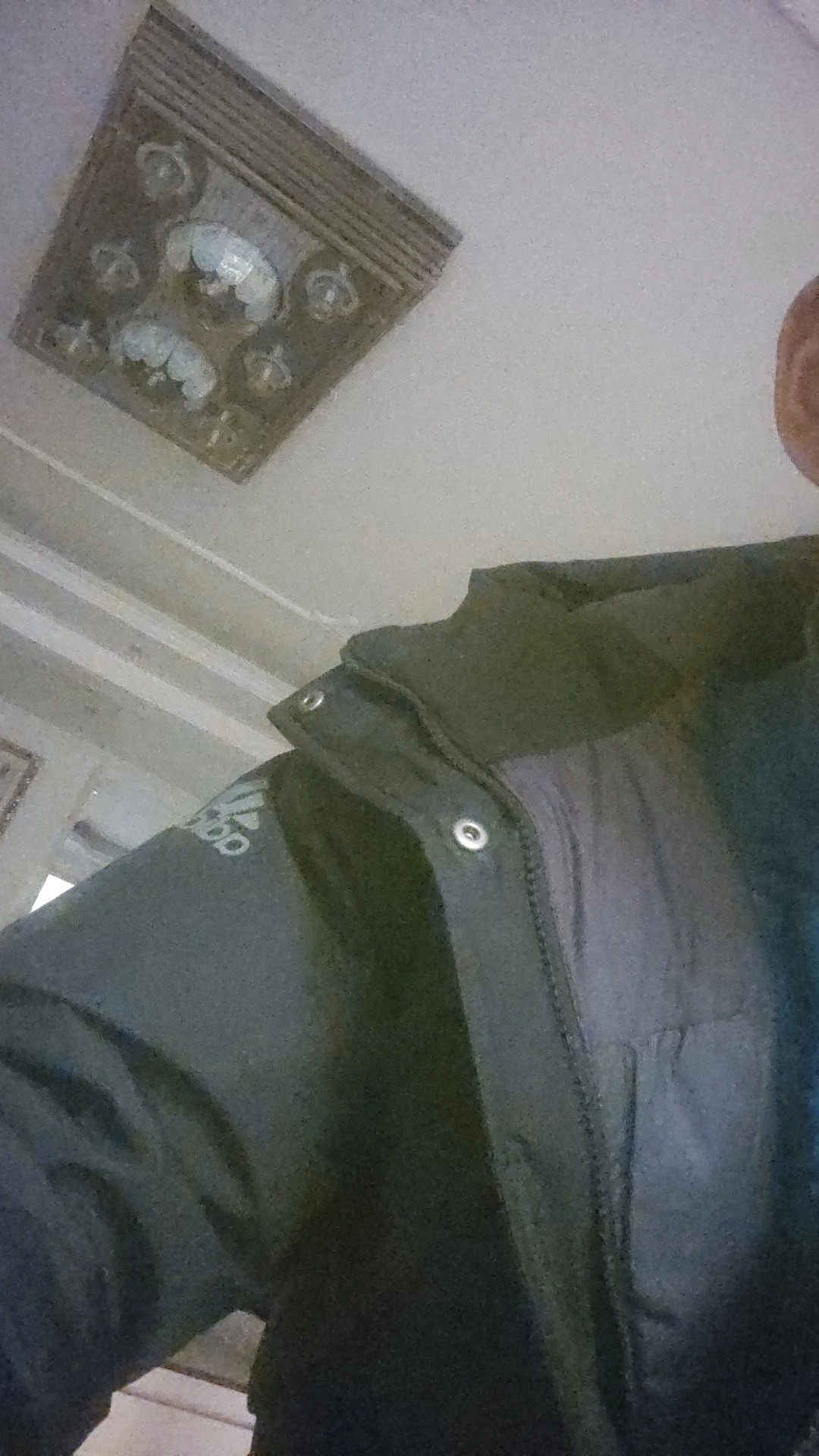 custom review-Adidas Пуховик Зимний Мужской Черный