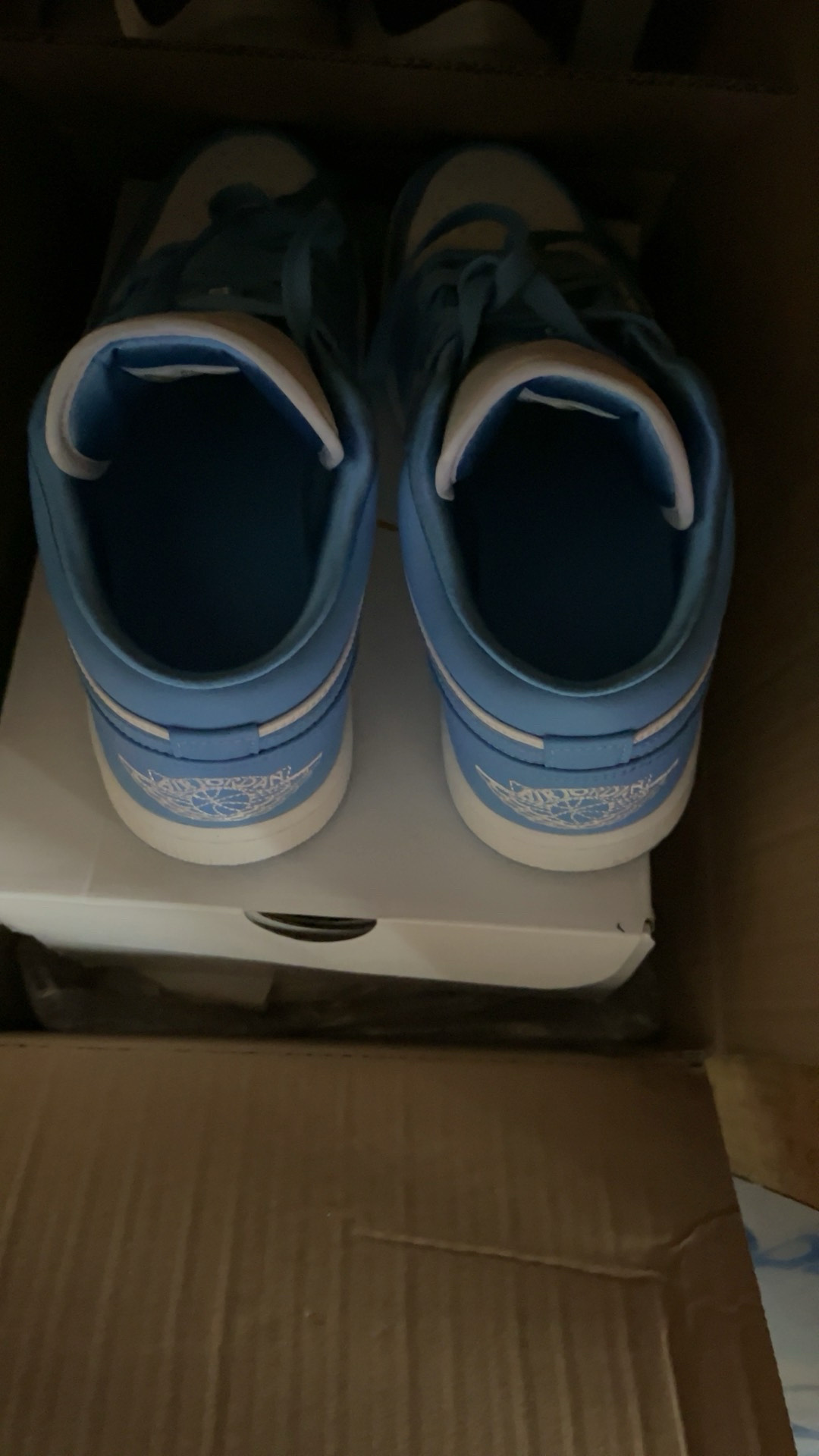 custom review-JORDAN 1 Low Unc Women's
