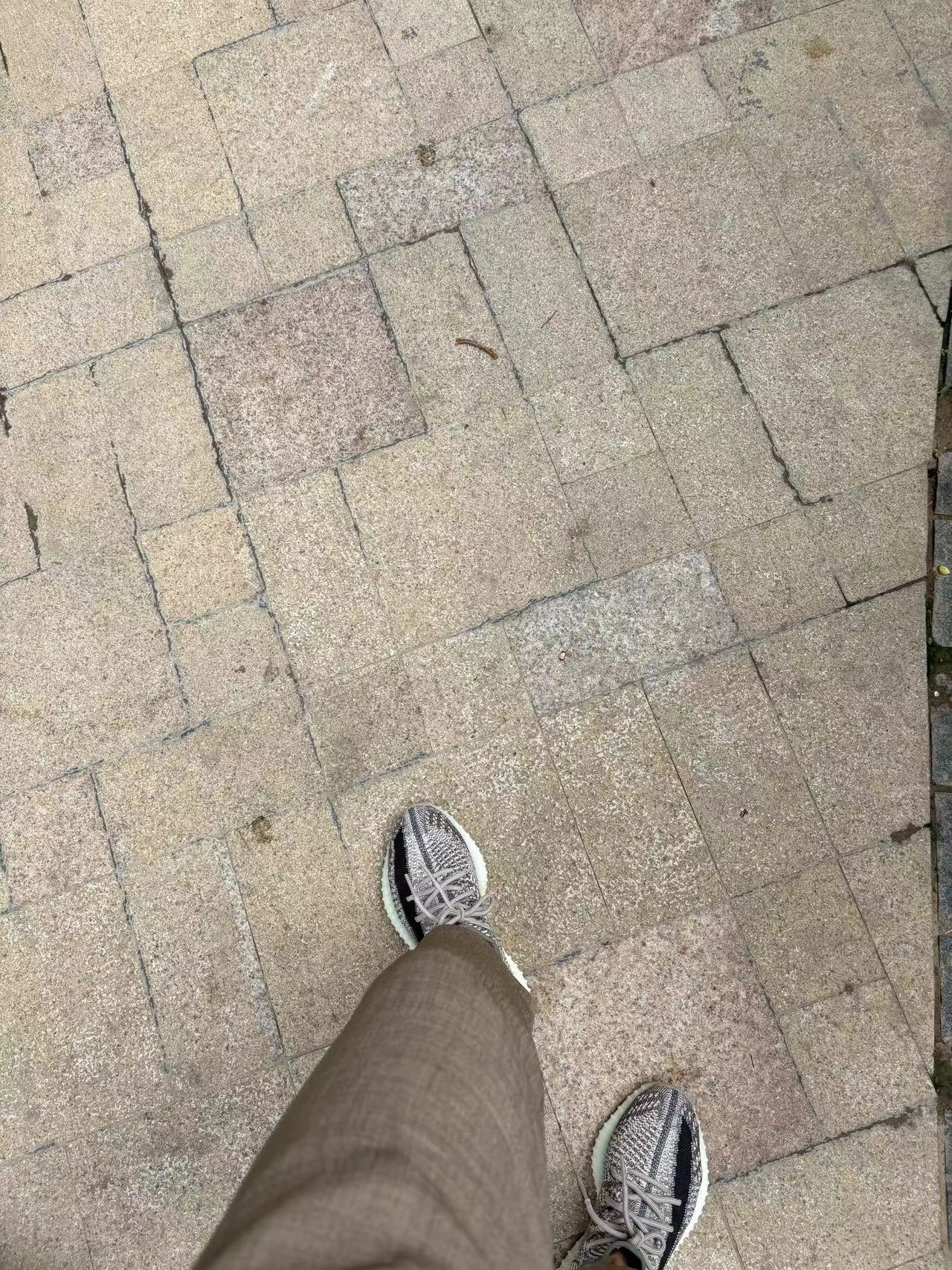 custom review-Adidas Originals Yeezy Boost 350 V2 Кунжут Серый 'Zyon' Низкий Топ Повседневная Обувь Унисекс Серый