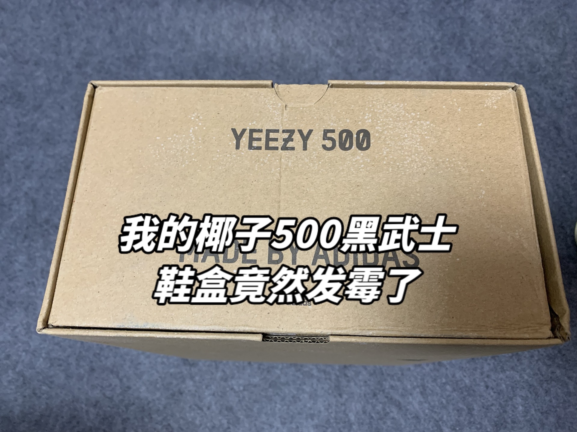 椰子500黑武士鞋盒都发霉了