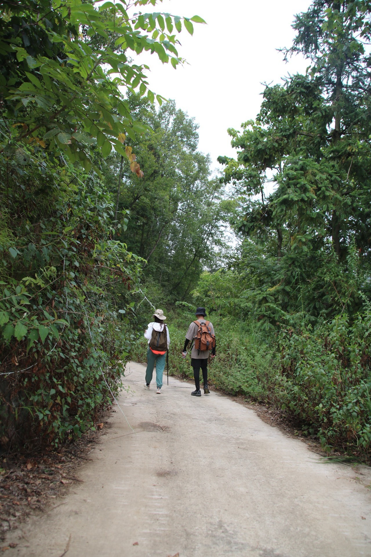 custom review-MIXI Ткань Рюкзак Средний Унисекс Mist Белый Earth Коричневый Serene Серый Night Черный