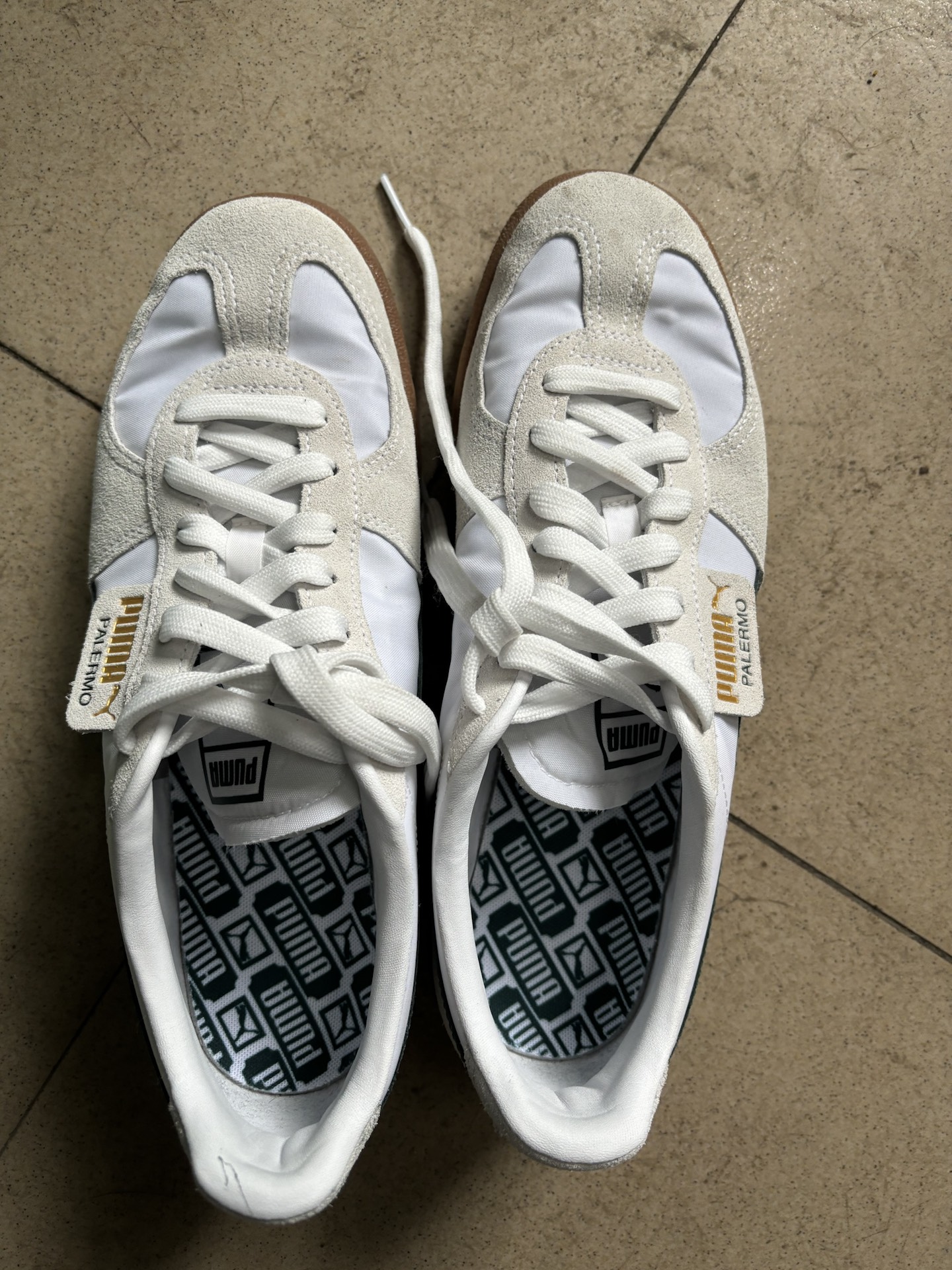 custom review-PUMA Palermo Low Топ Casual Унисекс Серый Зеленый