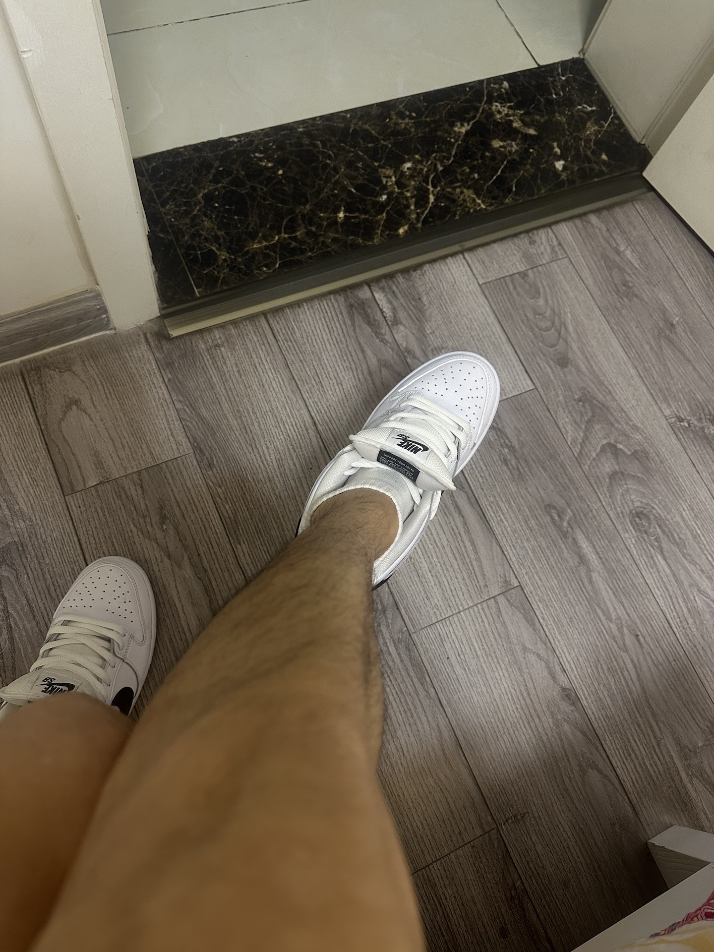 custom review-Nike Sb Dunk Low Pro White Gum