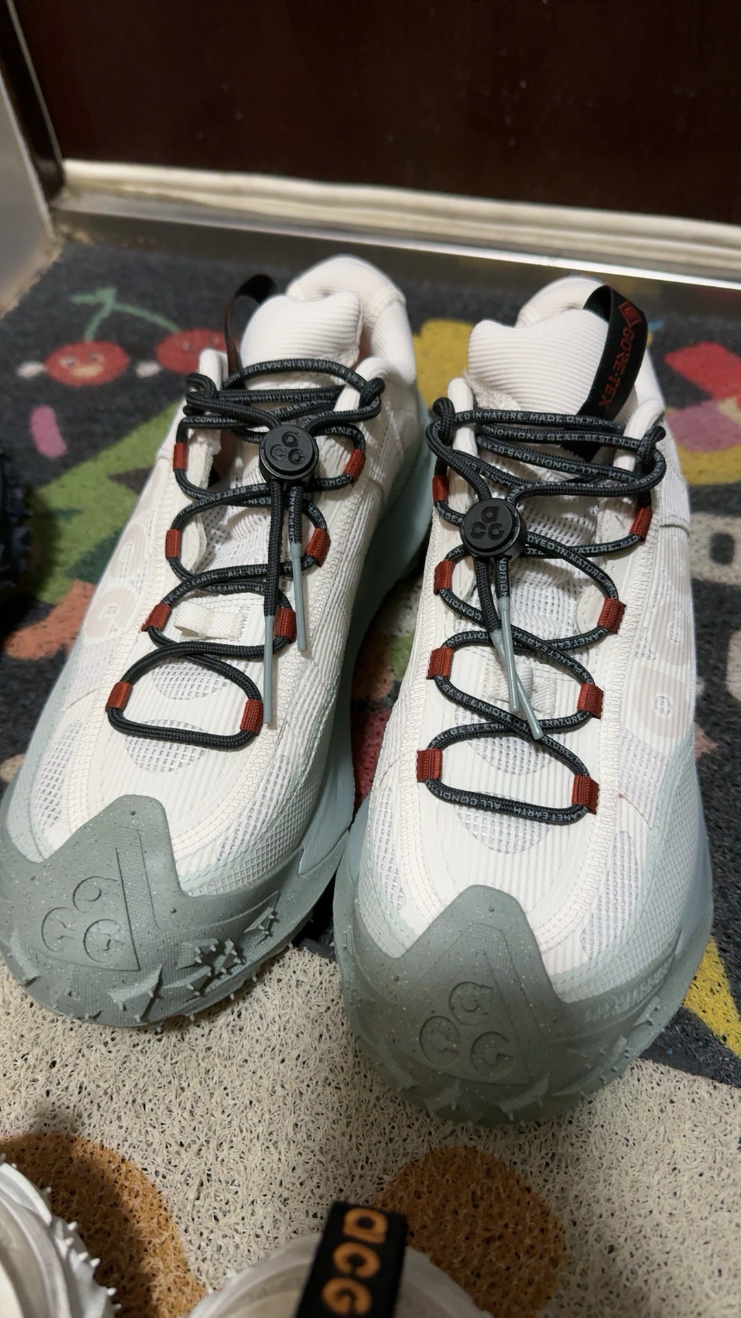 custom review-Nike ACG Mountain Fly Low Топ Уличная обувь Унисекс Белый Синий