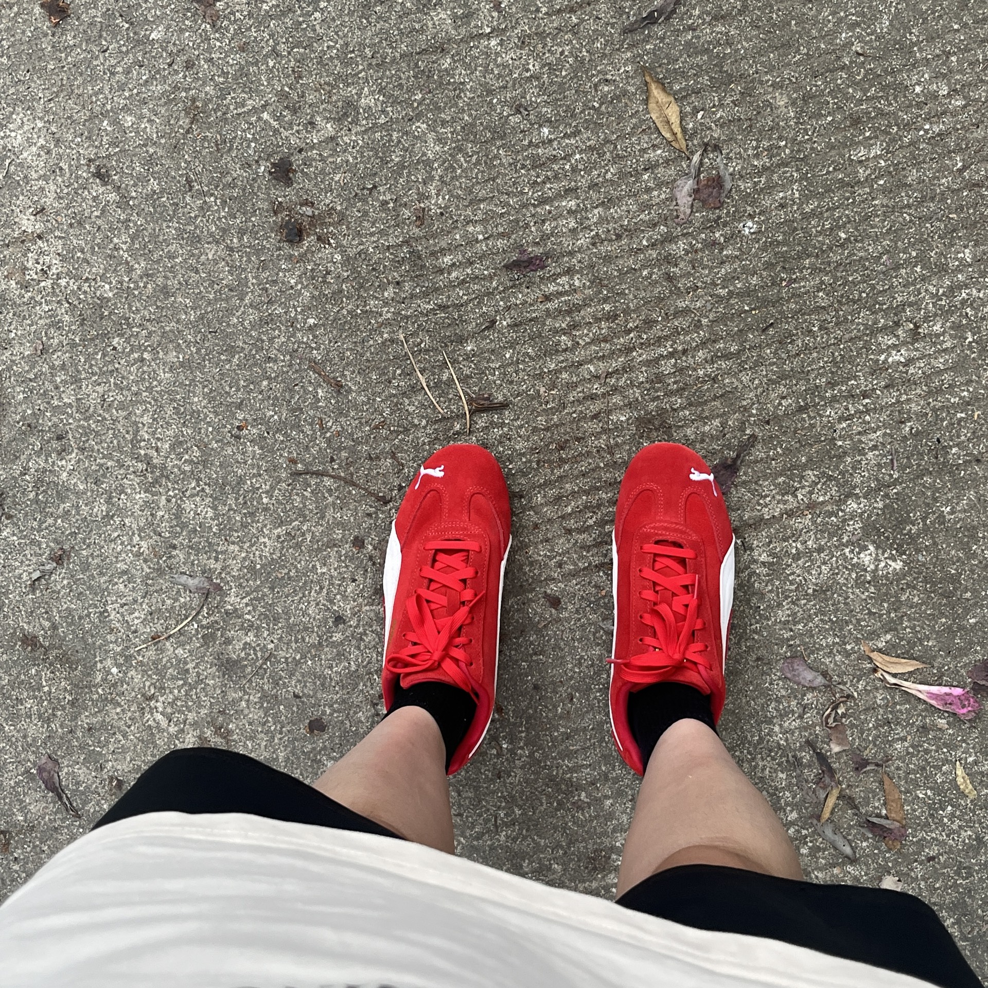 custom review-PUMA Speedcat Og Red White