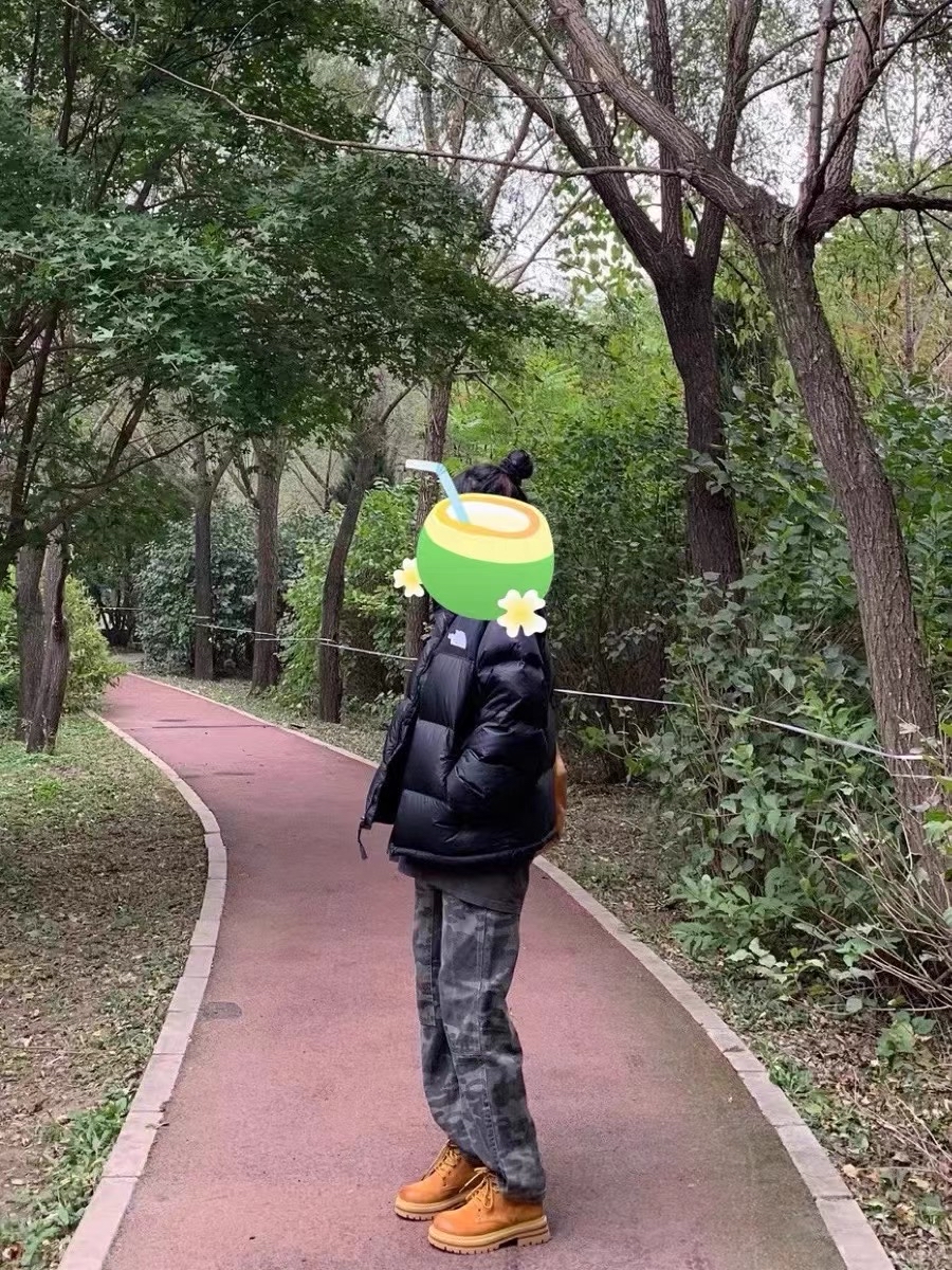 custom review-THE NORTH FACE Nuptse M'S ON Шар Куртка Пуховая куртка Мужской Черный