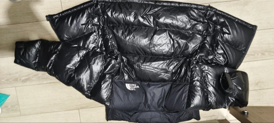 custom review-THE NORTH FACE 1996 Collection Пуховик Зимний Мужской Блестящий Цвет