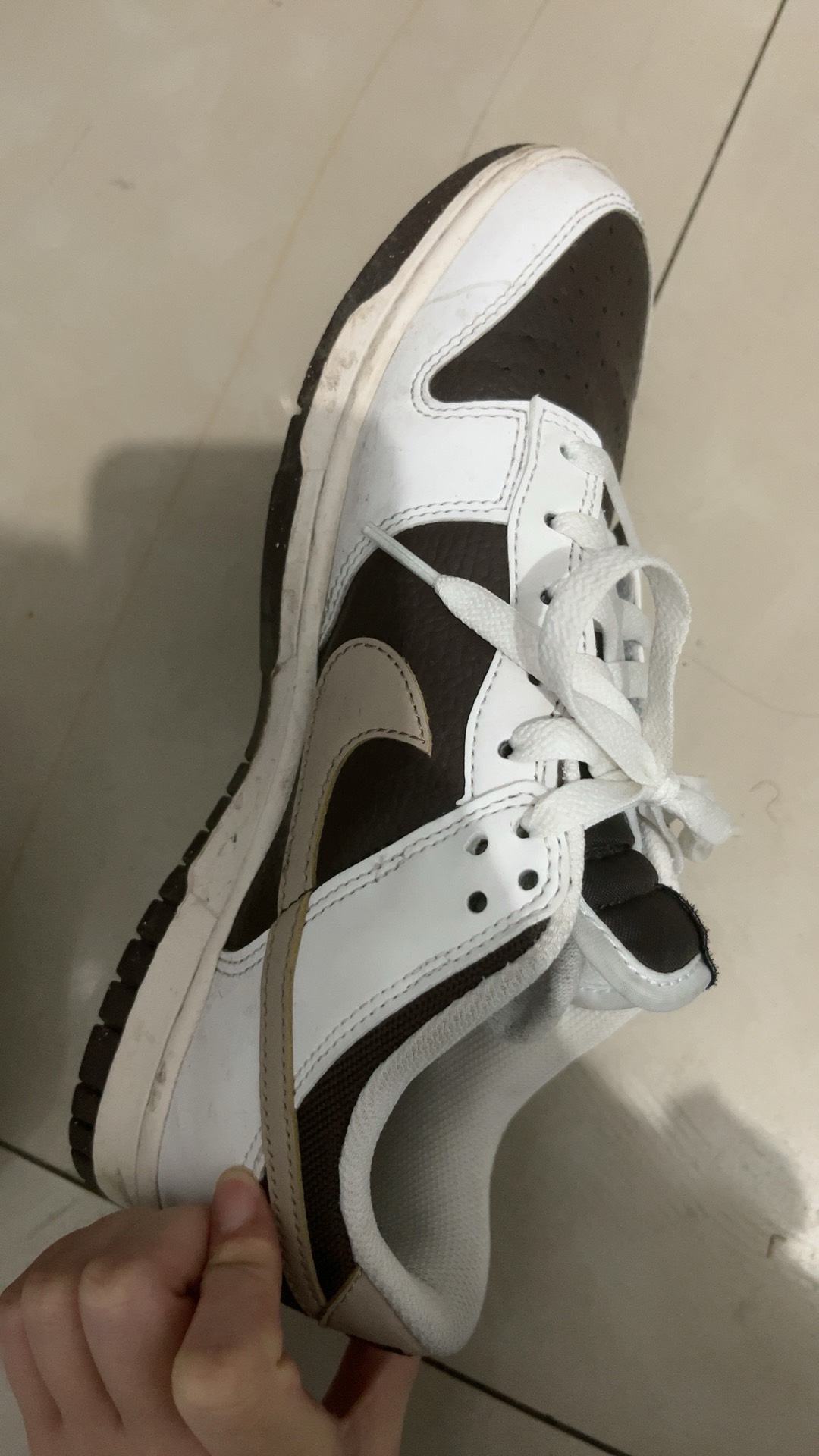 custom review-Nike Dunk Low Next Nature 'Summit White Baroque Brown'