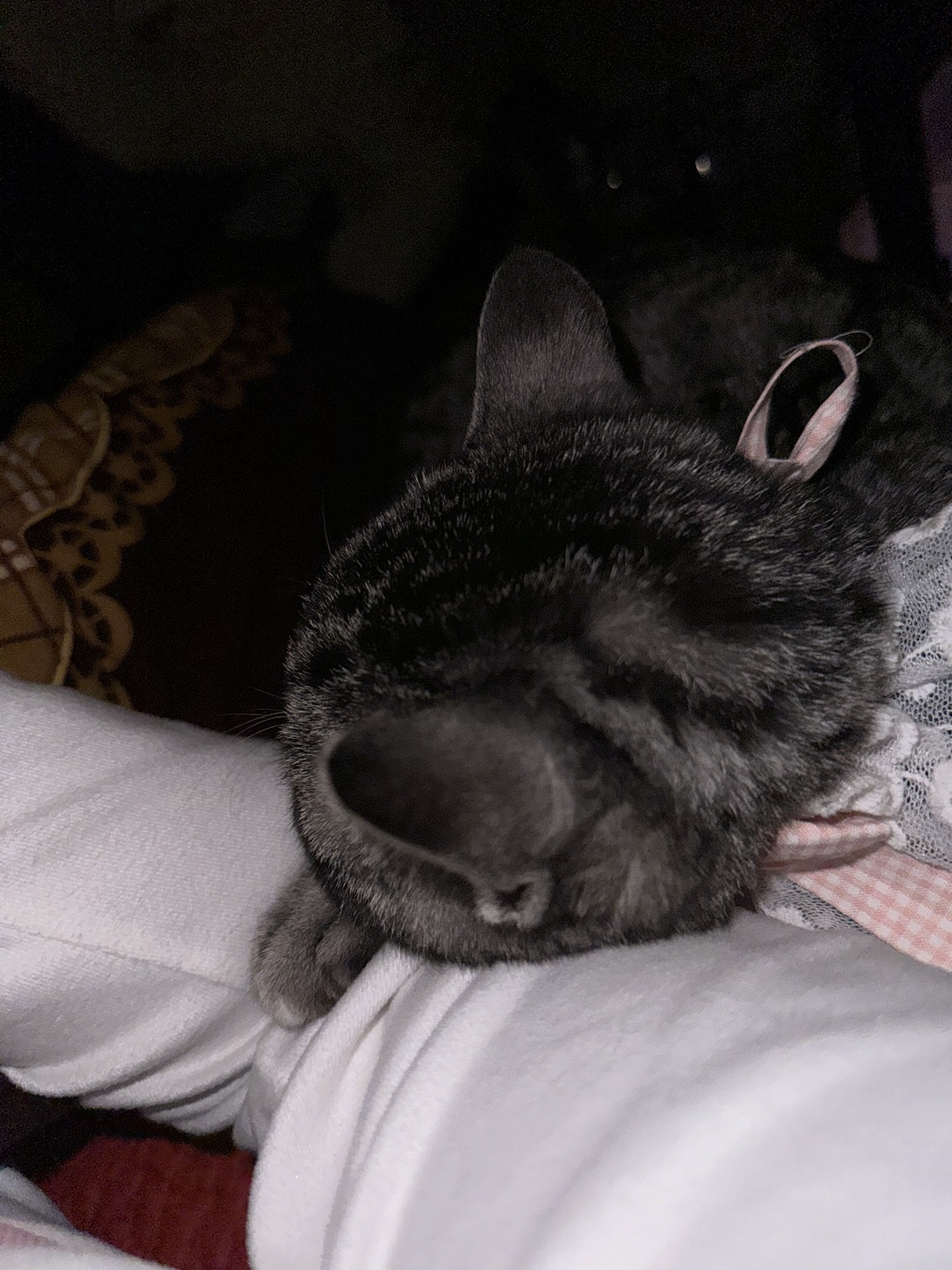 custom review-HLA Мужская рубашка polo