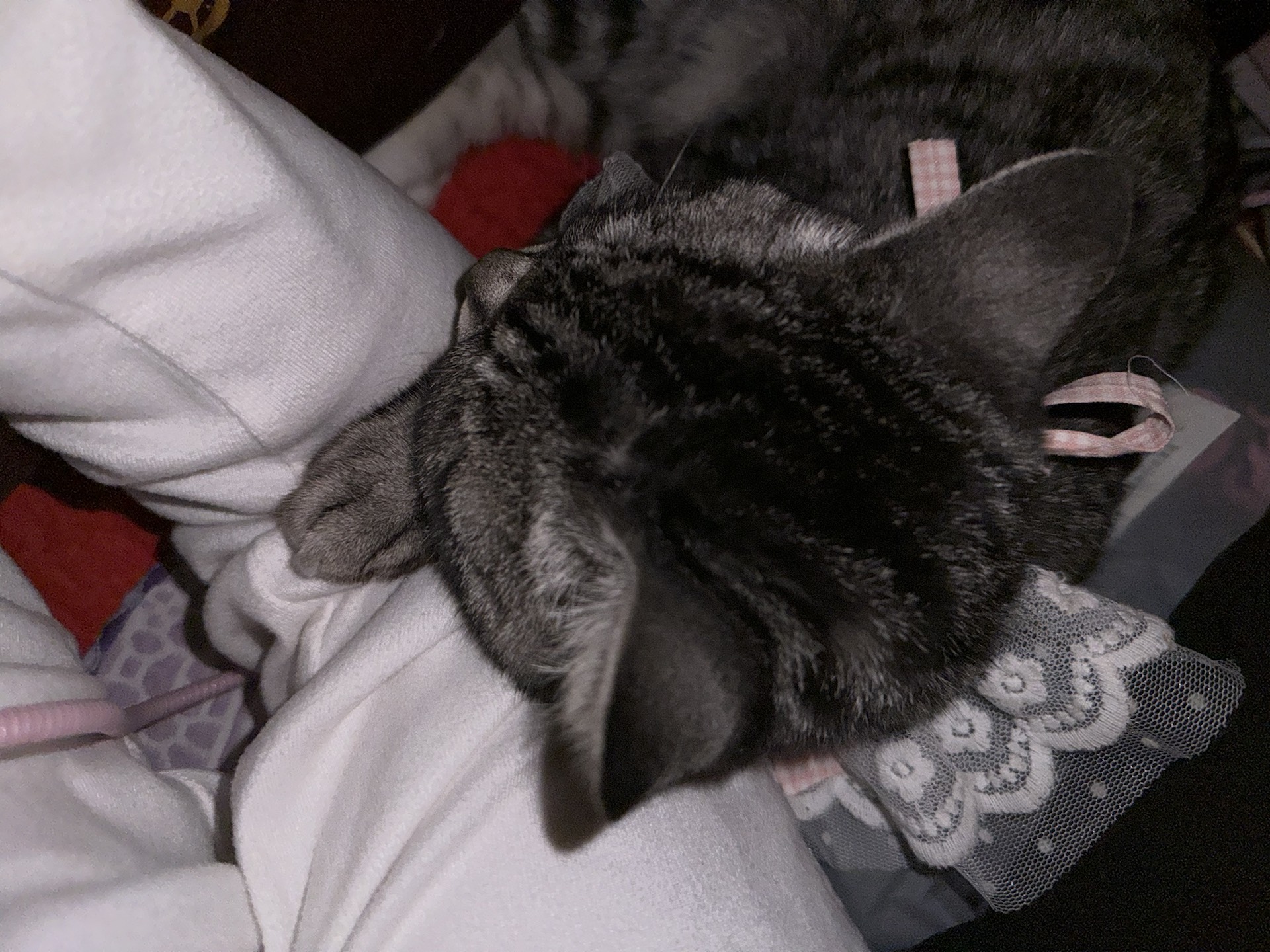 custom review-HLA Мужская рубашка polo