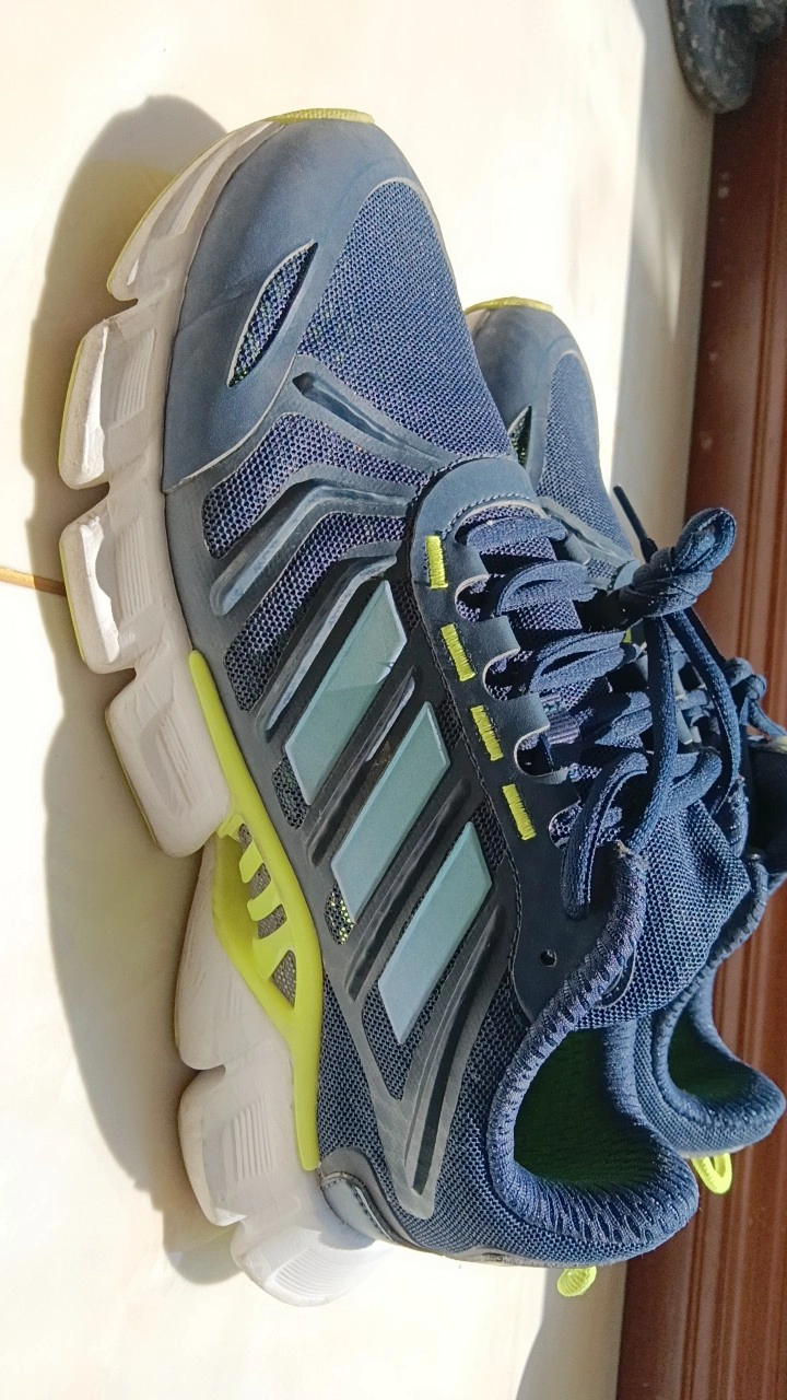 custom review-Adidas Climacool Low Беговые кроссовки Унисекс Циан синий