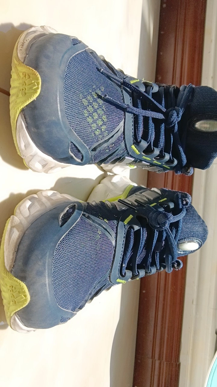 custom review-Adidas Climacool Low Беговые кроссовки Унисекс Циан синий