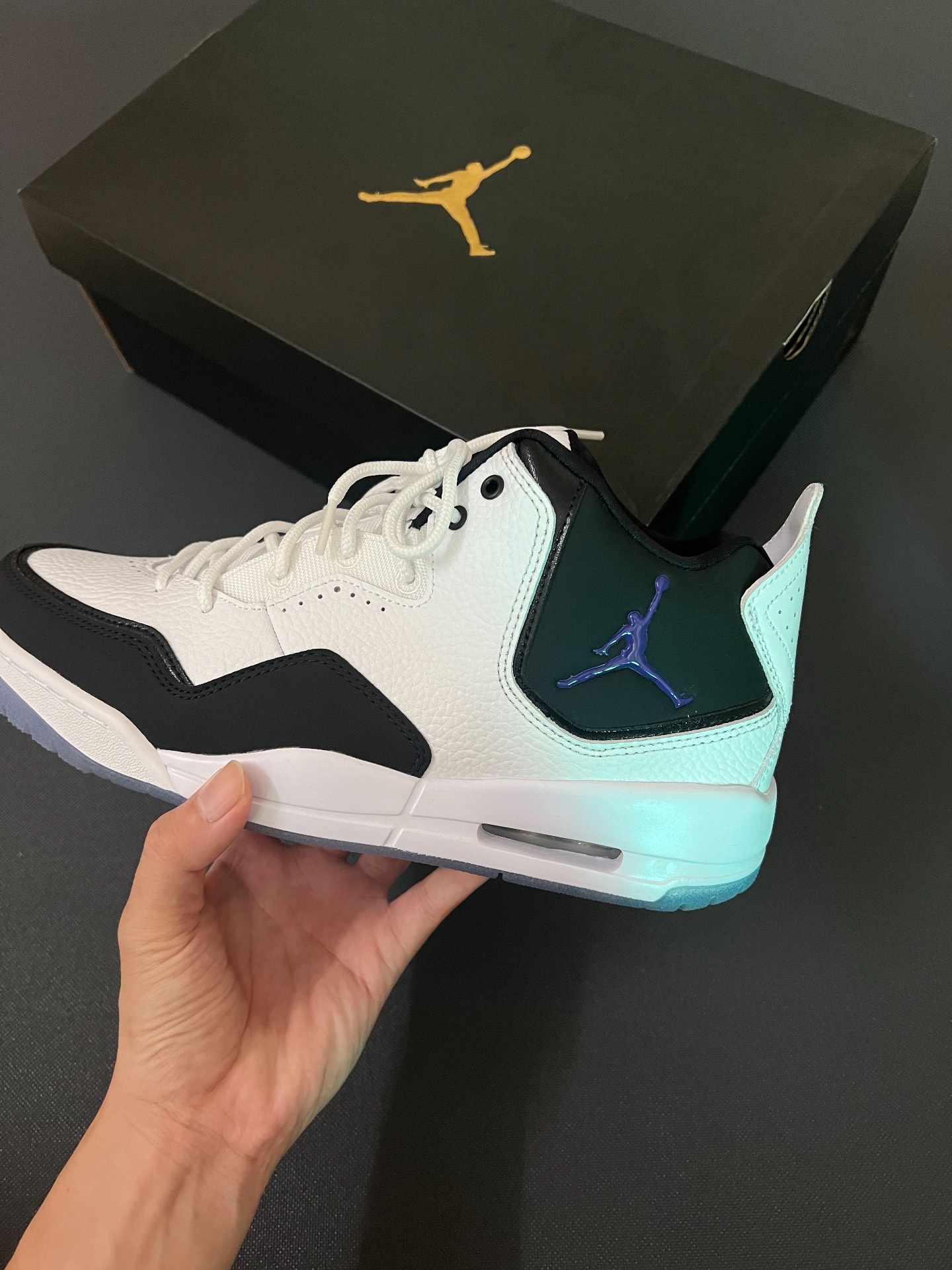 custom review-Jordan Courtside 23 Concord