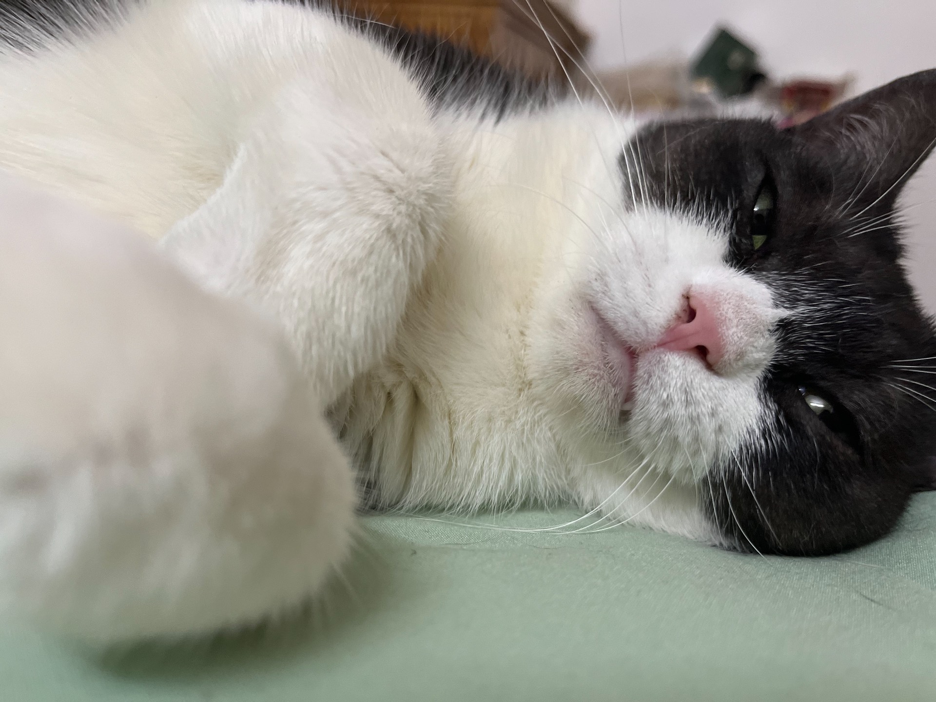 custom review-Adidas Originals Niteball Slip Resistant Abrasion Resistant Легкий Низкий Топ Повседневная Обувь Унисекс Белый Серебряный