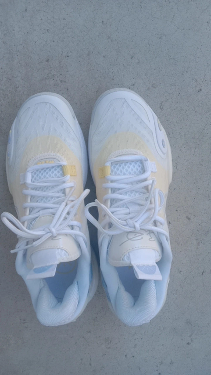 custom review-LINING All City 12 Basketball Shoes Men's Low top Standard White