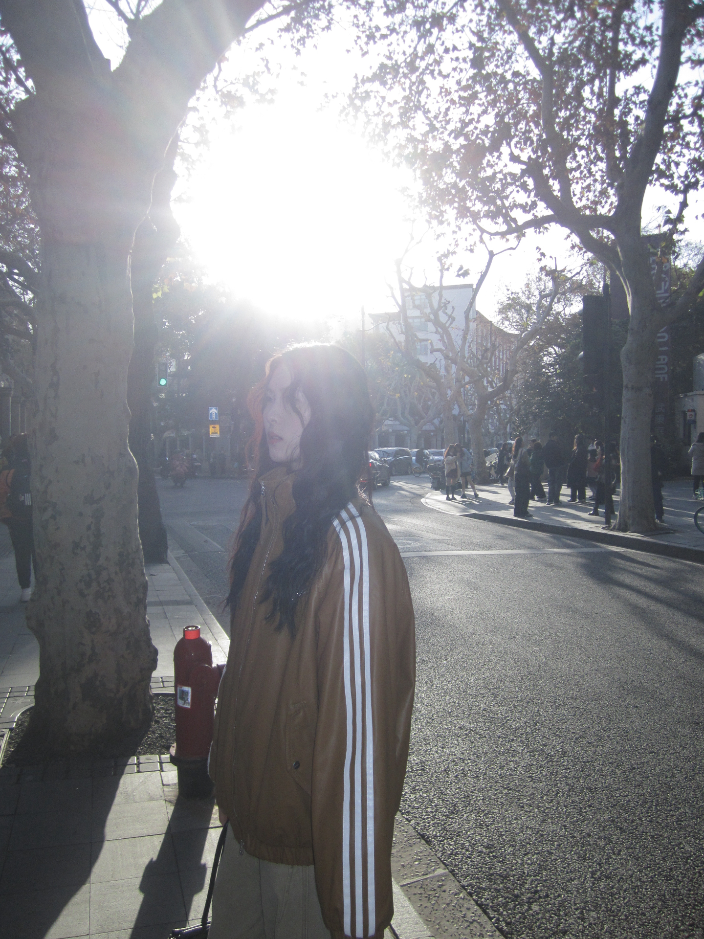 custom review-Adidas Originals Adicolor FW24 Sport PUL Куртка Женские Бронзовые пласты