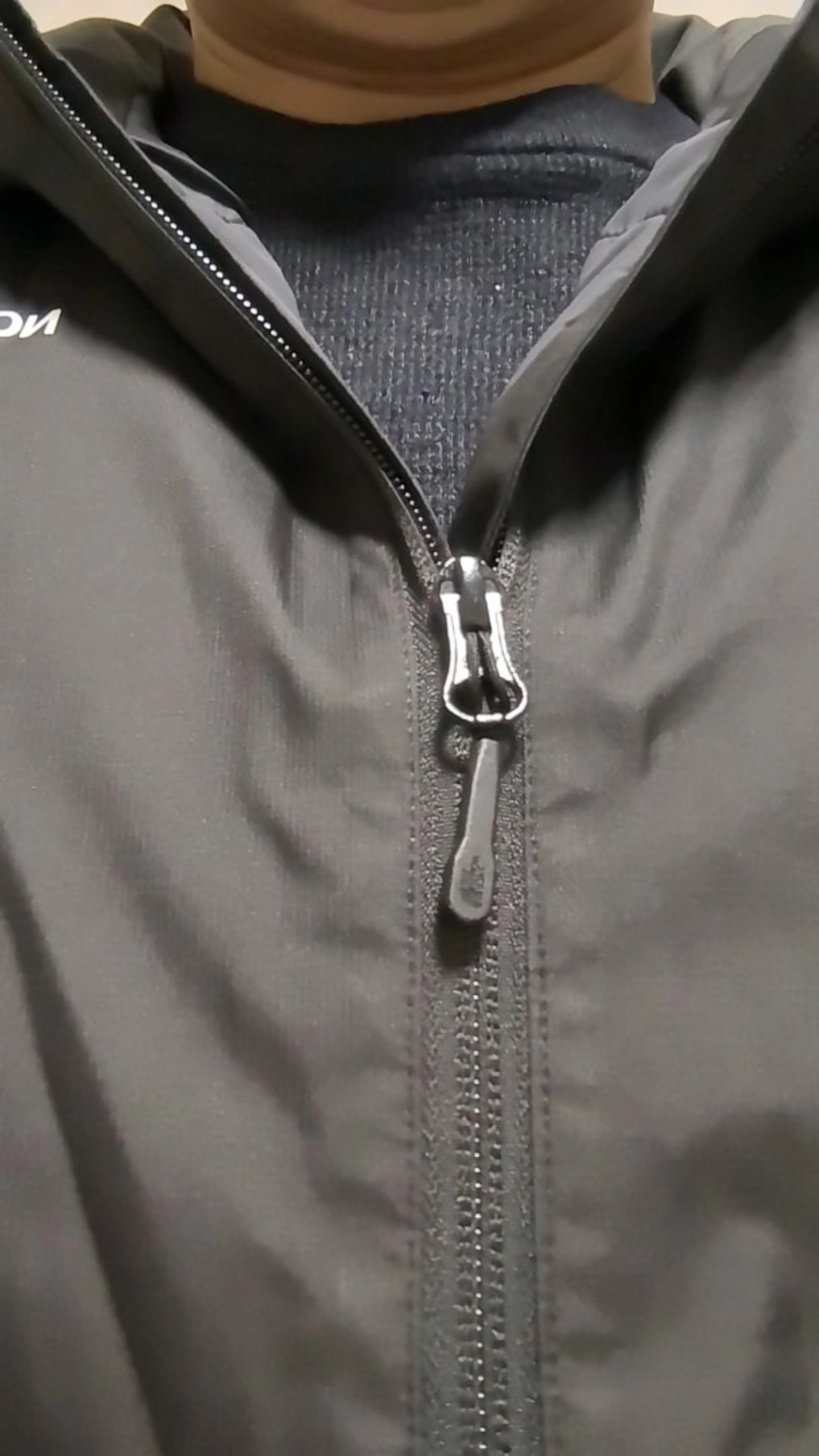 custom review-The North Face Dryvent Мужская пуховая куртка черного цвета