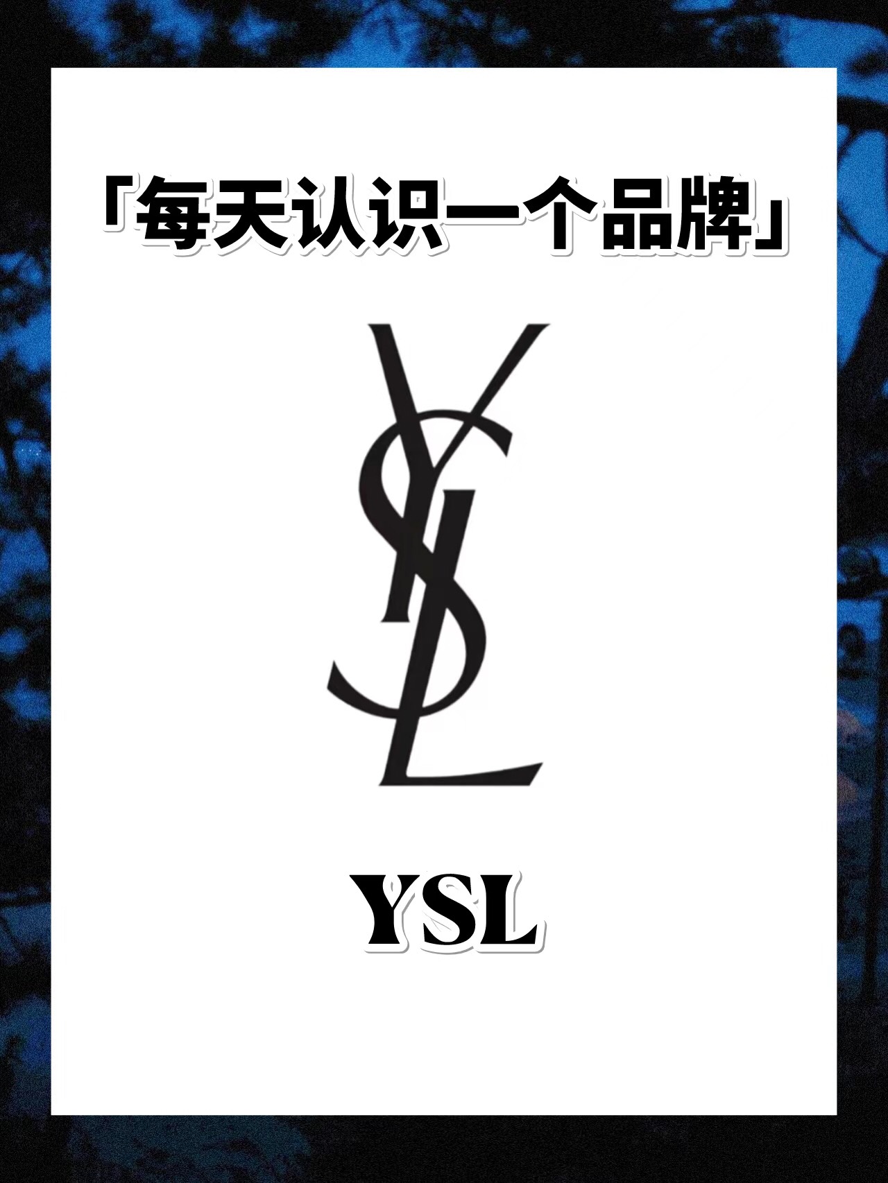 ysl全称图片