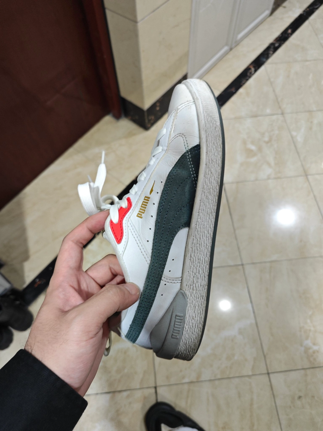 纪念我即将逝去的彪马