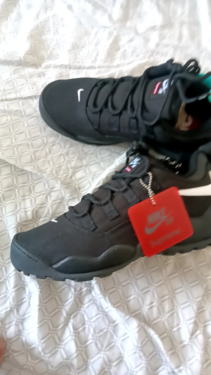 custom review-Supreme x Nike SB Darwin Low Топ Повседневный Мужской Черный Белый