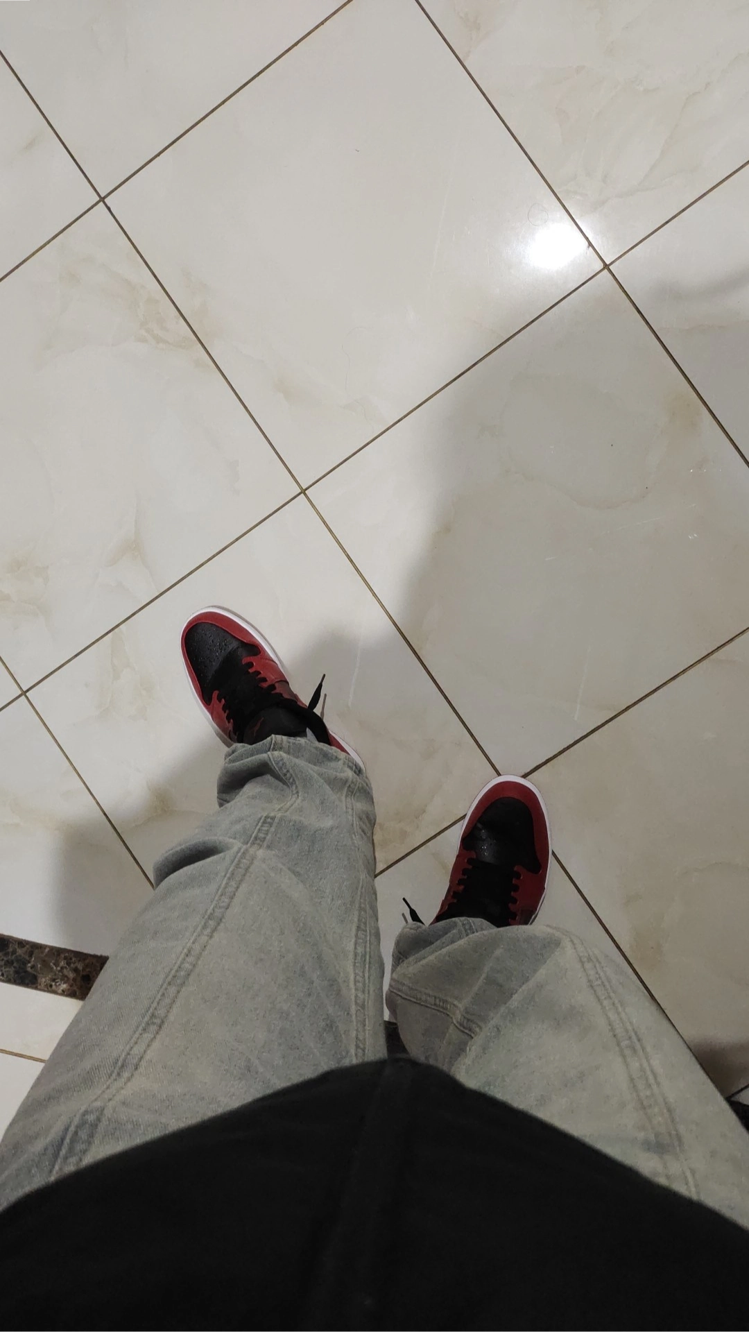 custom review-JORDAN 1 Low Reverse Bred