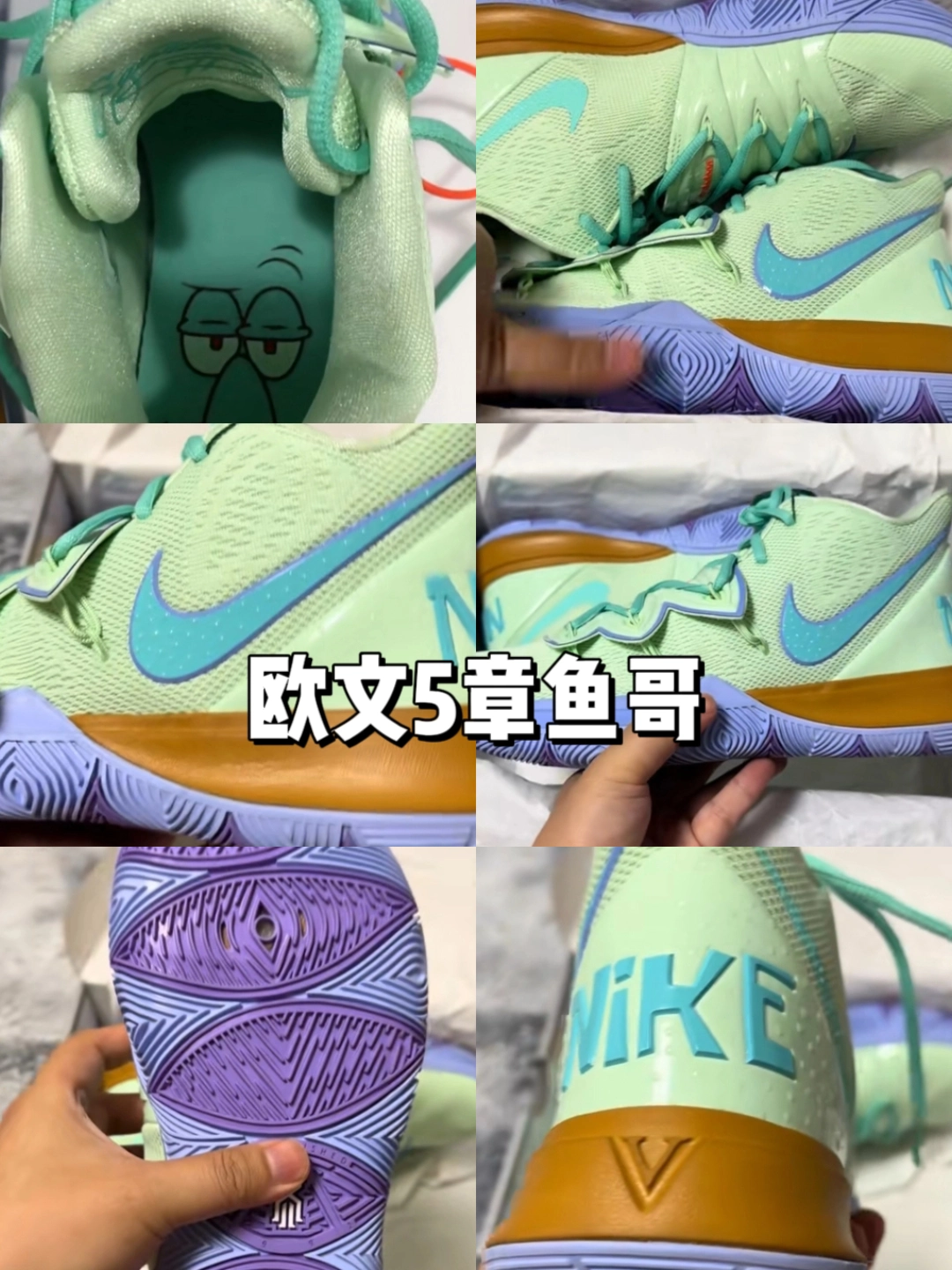 欧文5章鱼哥