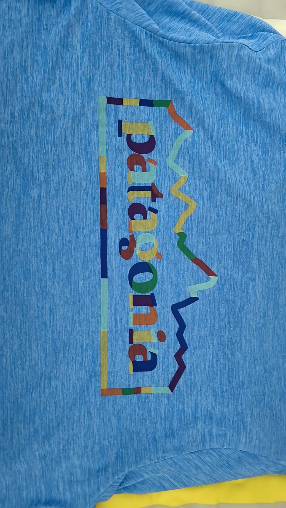 custom review-Patagonia Capilene Мужские T-рубашки