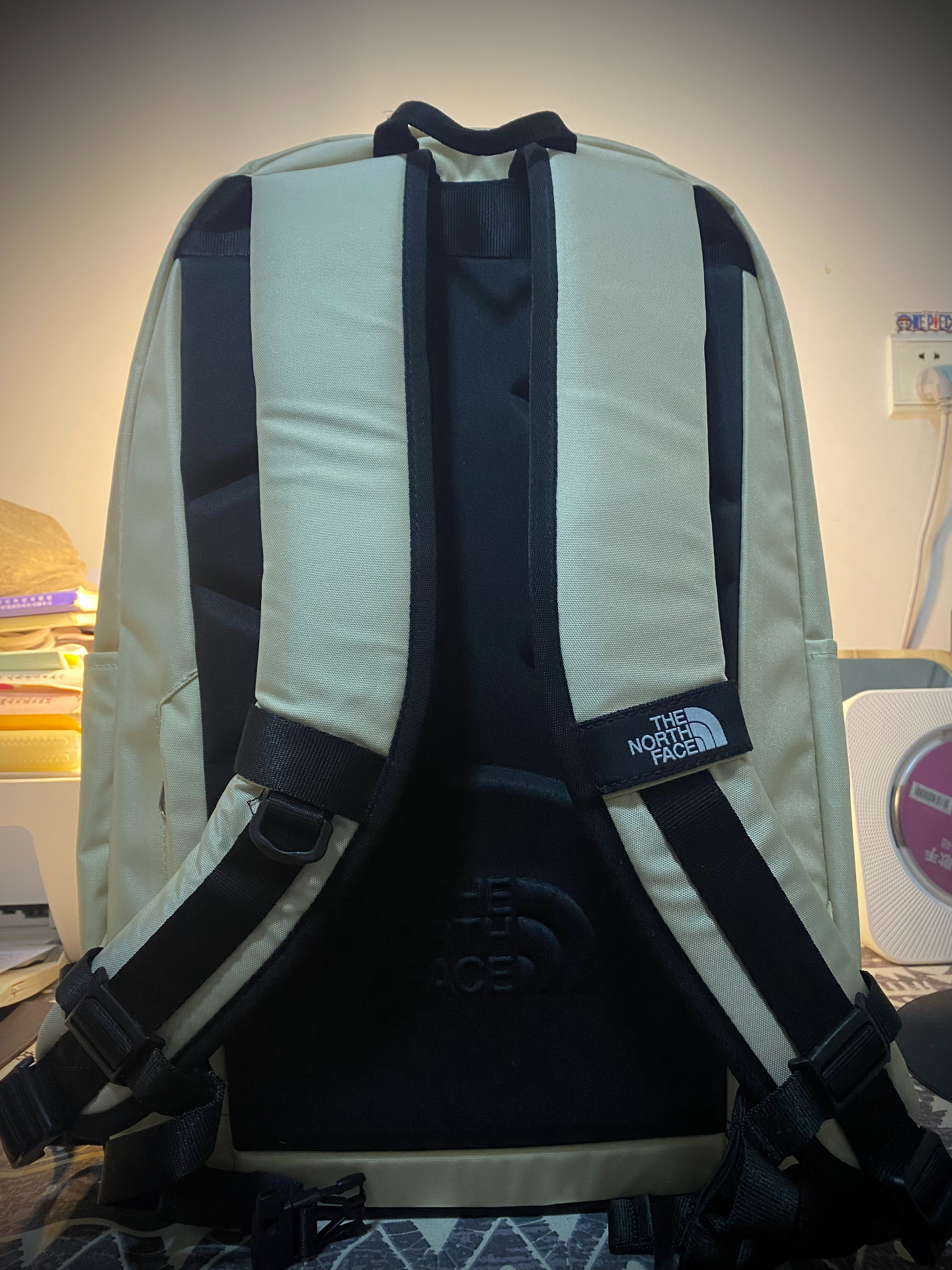 custom review-The North Face 30L Туристические сумки Нейлон Бежевый Унисекс