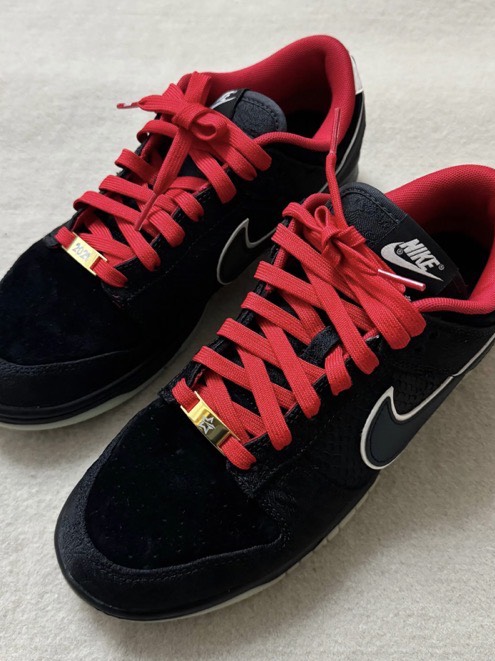 百看不厌联名鞋 #全款拿下这双鞋  nike du