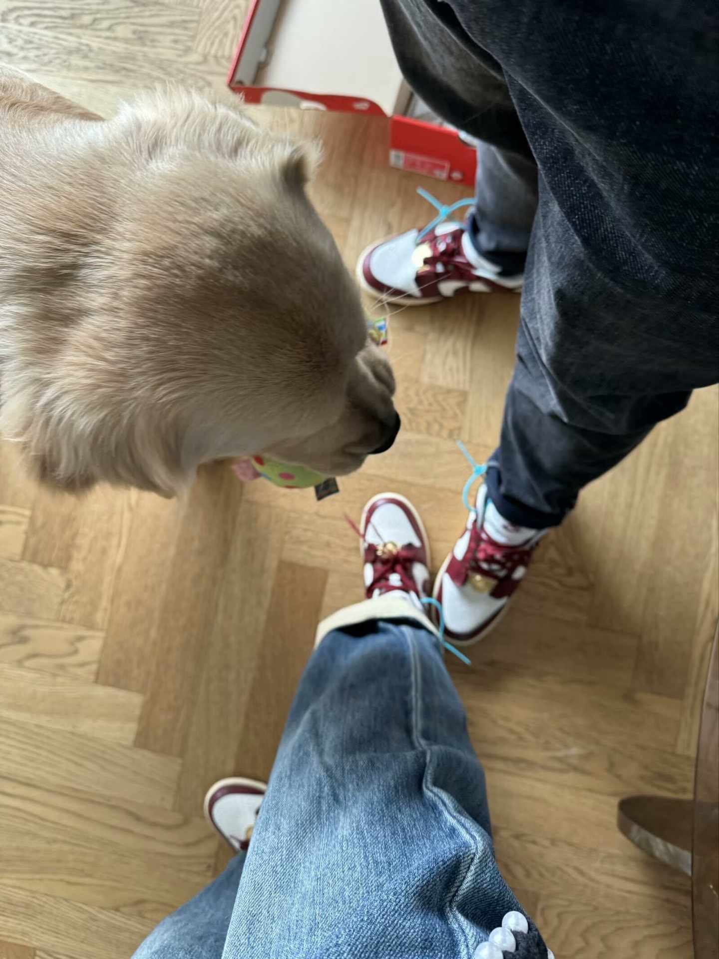 custom review-Nike Dunk Подвеска 'Team Red' Металлическая пряжка Низкие кроссовки для скейтбординга Женские Красный Белый