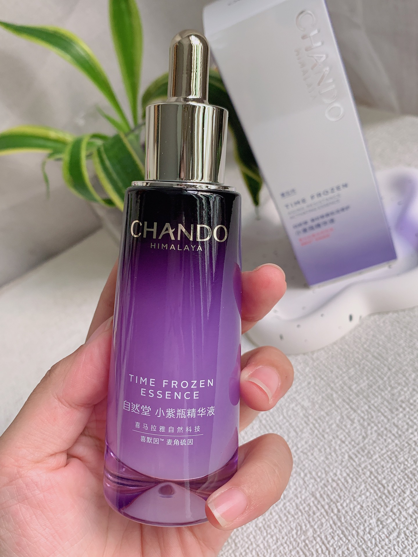 小紫瓶真的有这么神奇吗